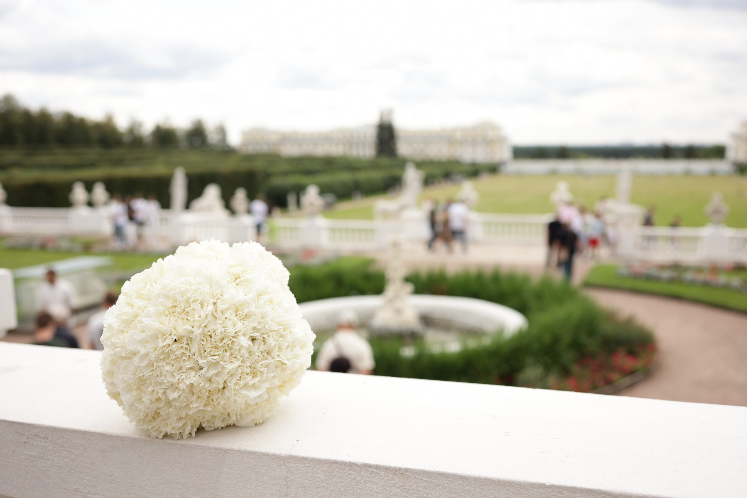 Денис и Лида