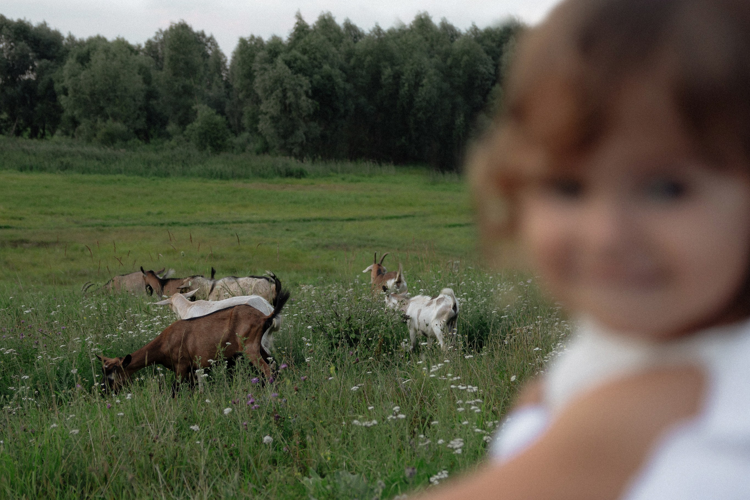 Катя Саша Ариана