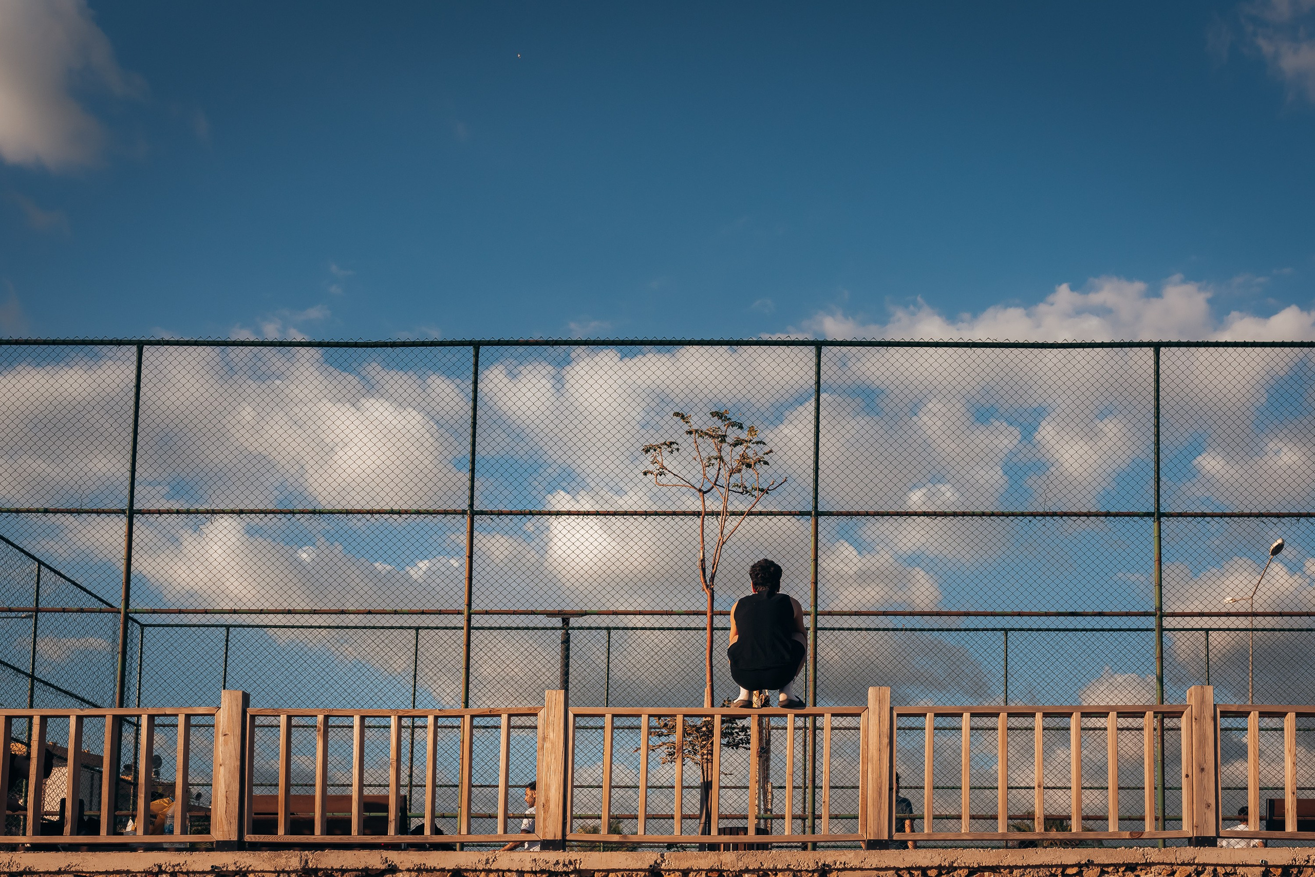 «Береговая линия»