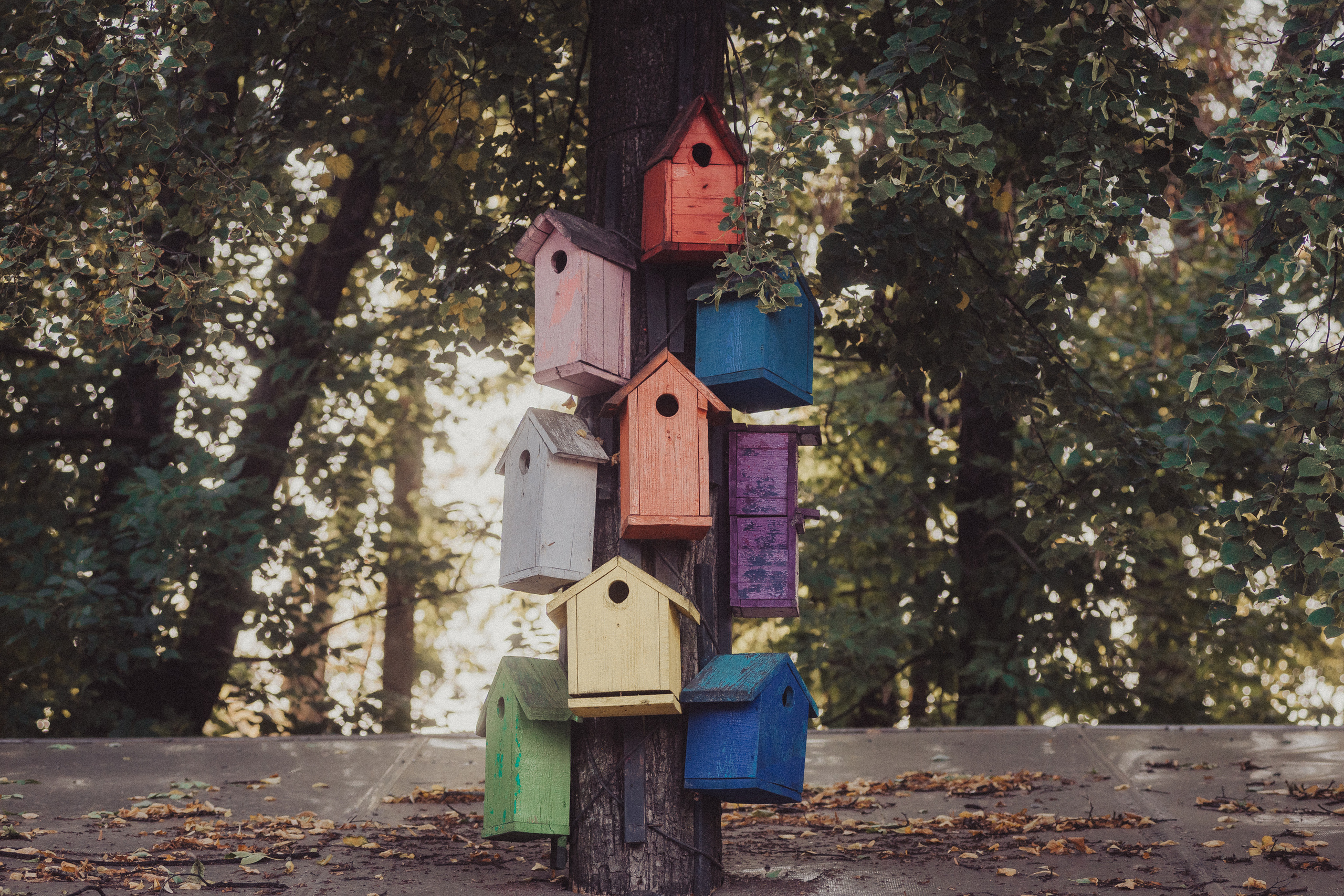 улица Ушинского