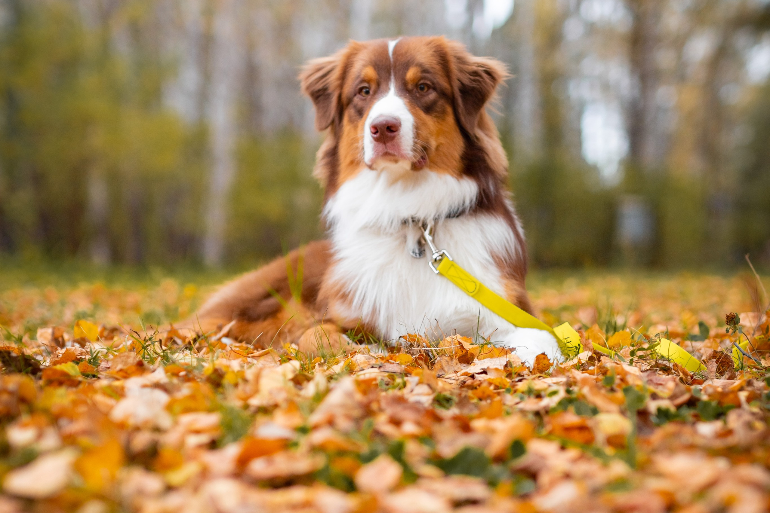 Блог. Семейный фотограф в Екатеринбурге