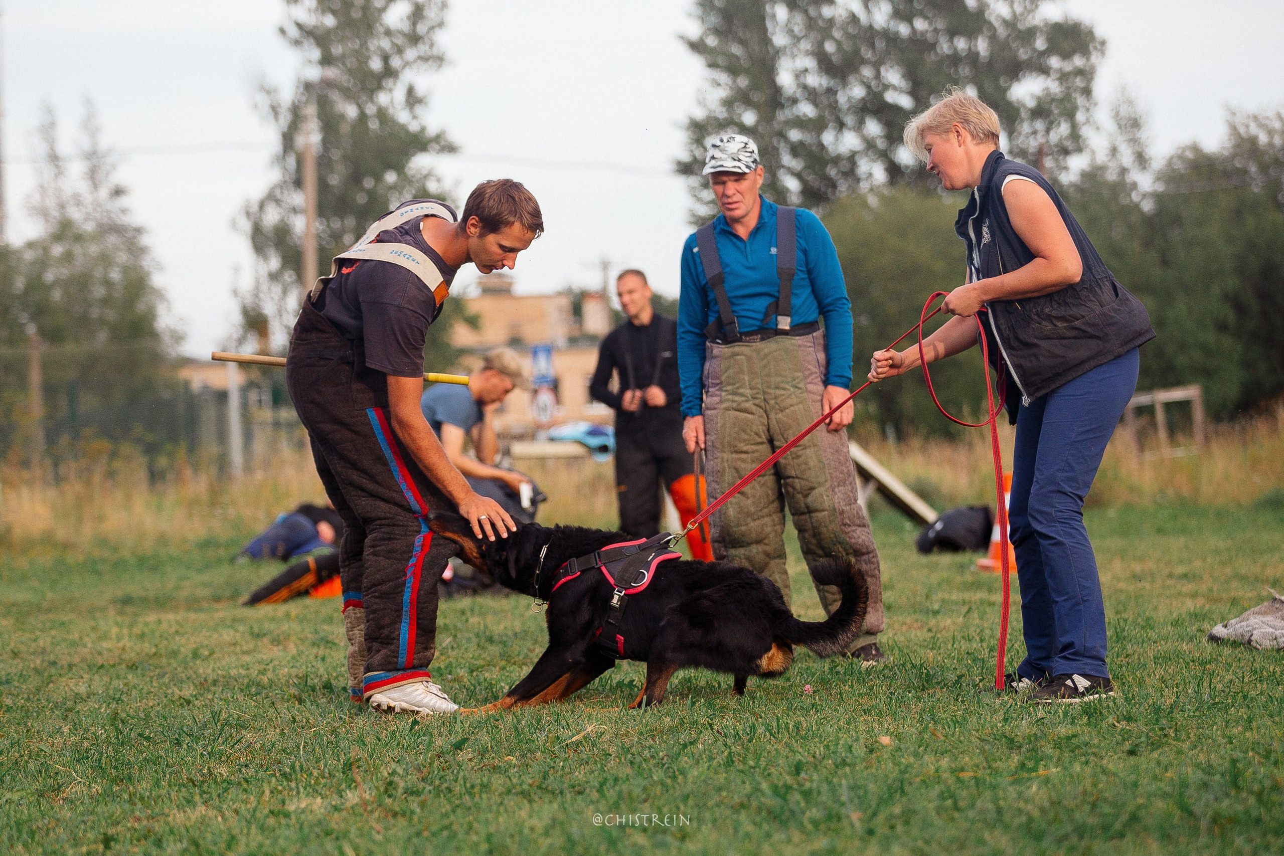 Семинары по мондио