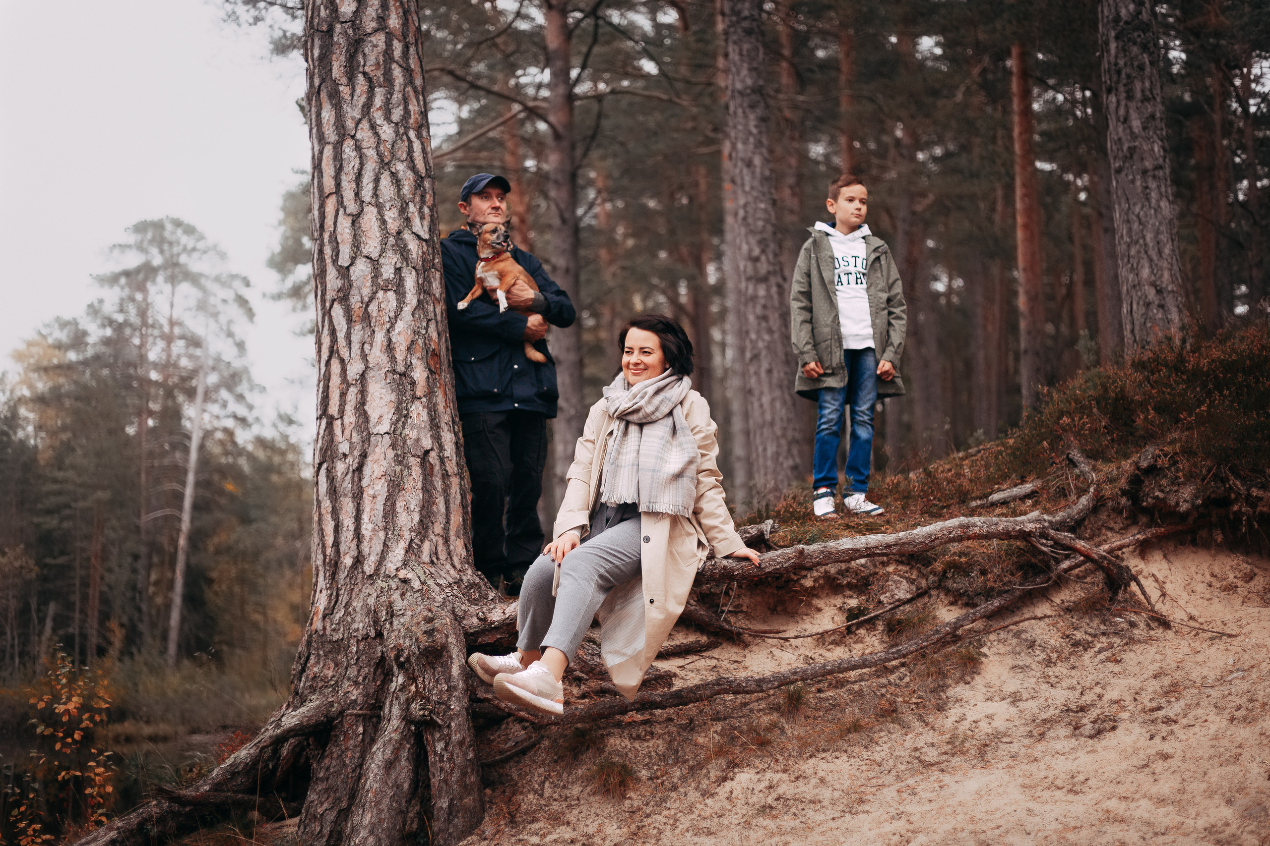 Осенний лес в Сосновом Бору