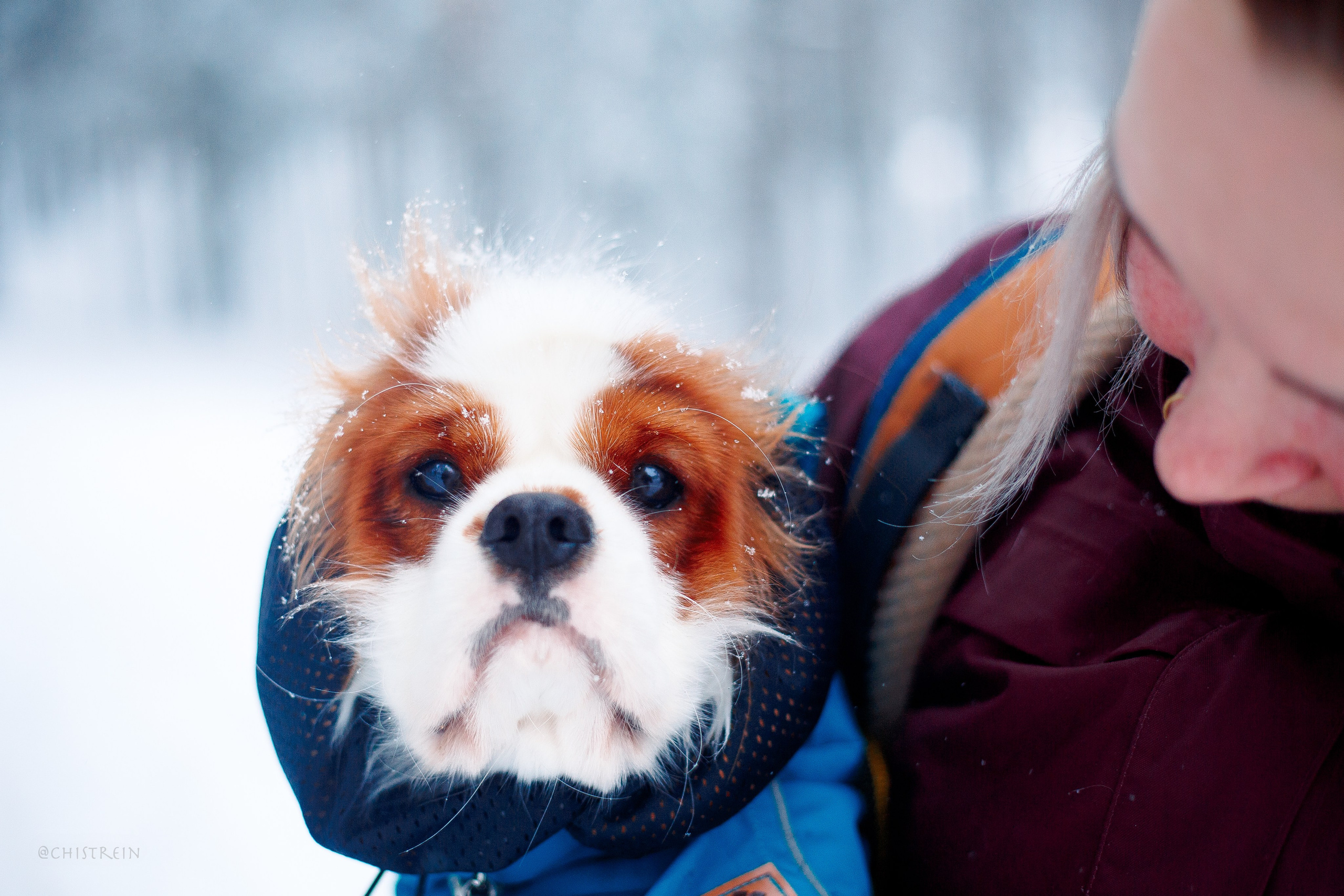 Внезапно апрельская зима