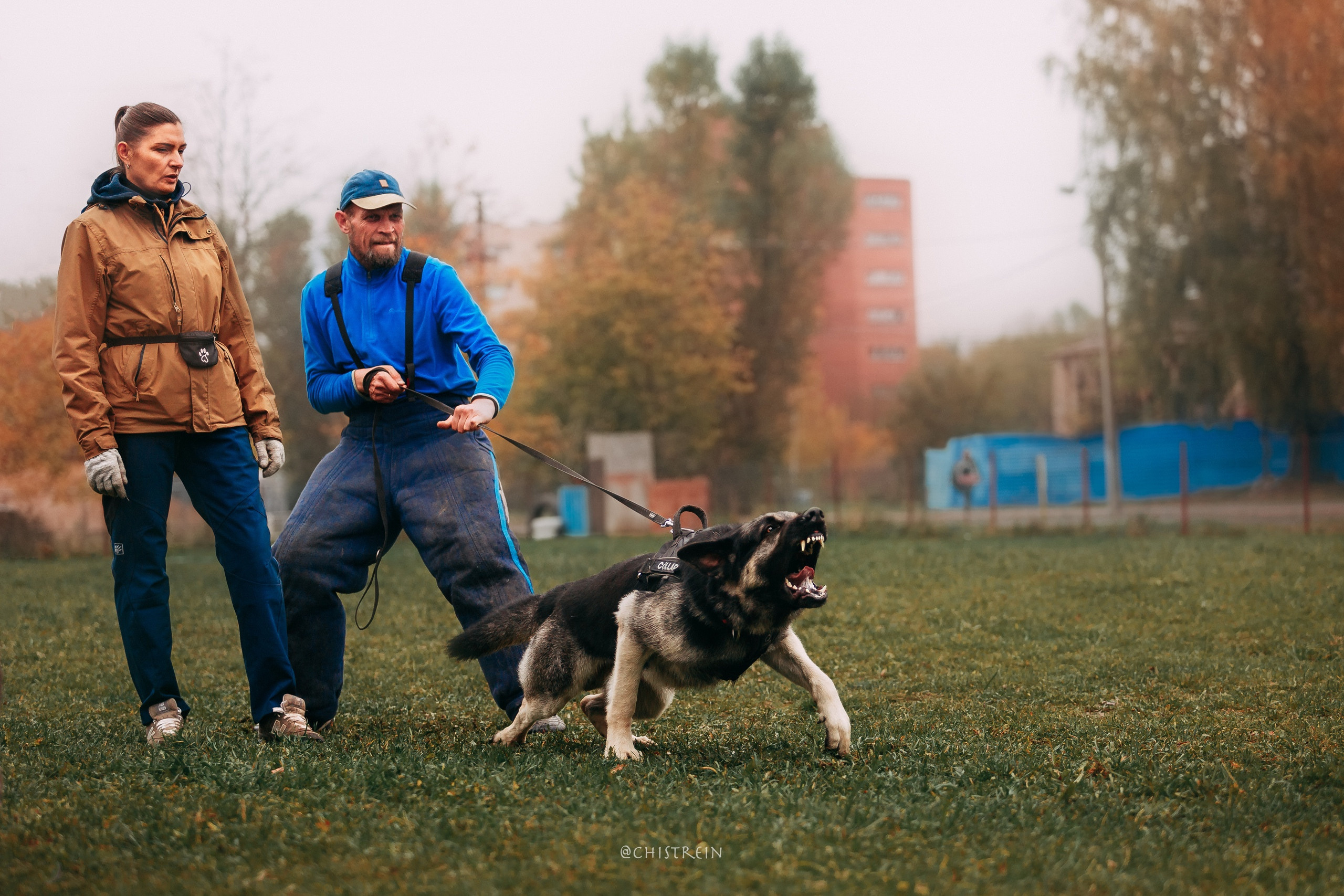 Большой Русский Ринг