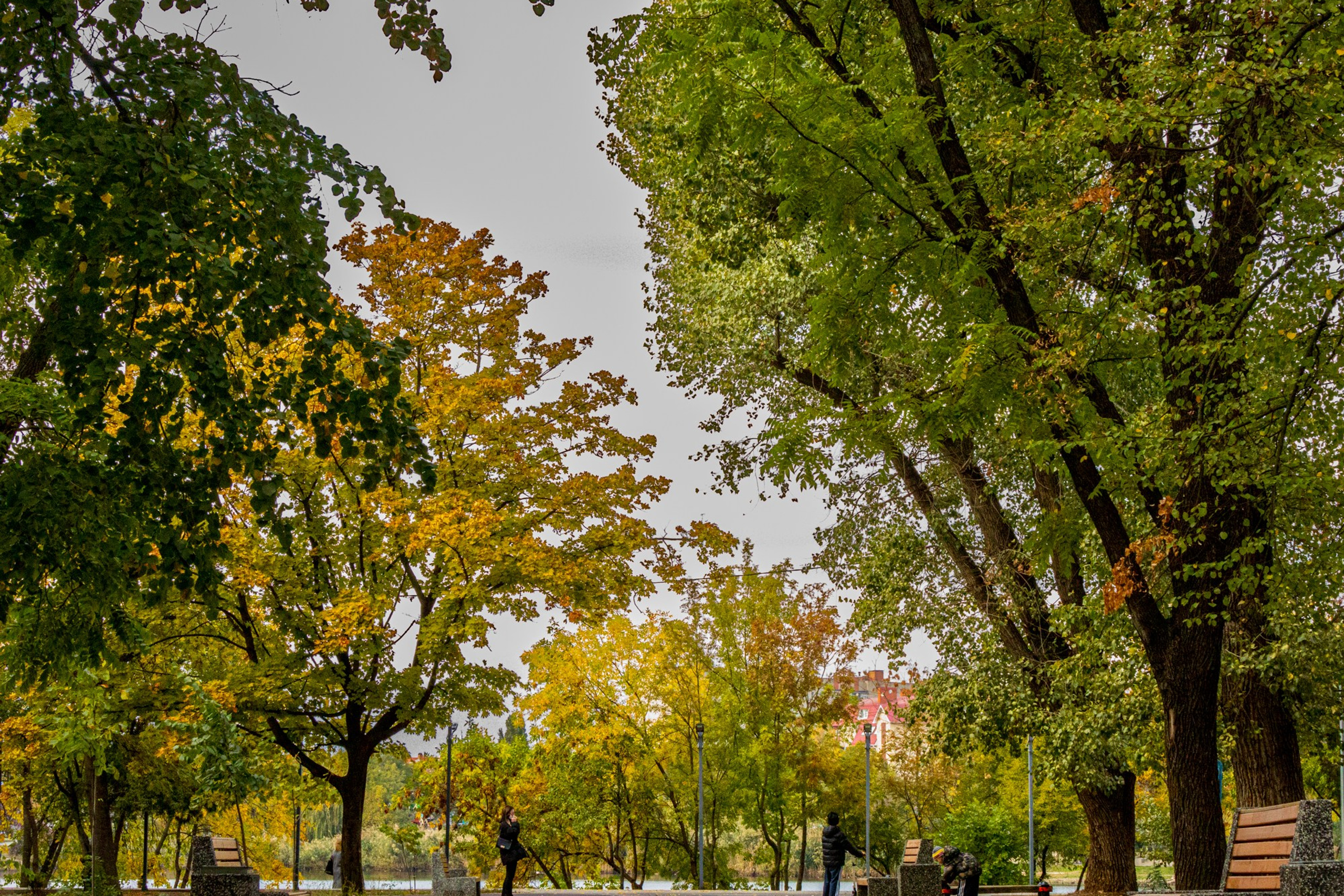 Пейзажное Фото. Https://lisenkofotograf.ru