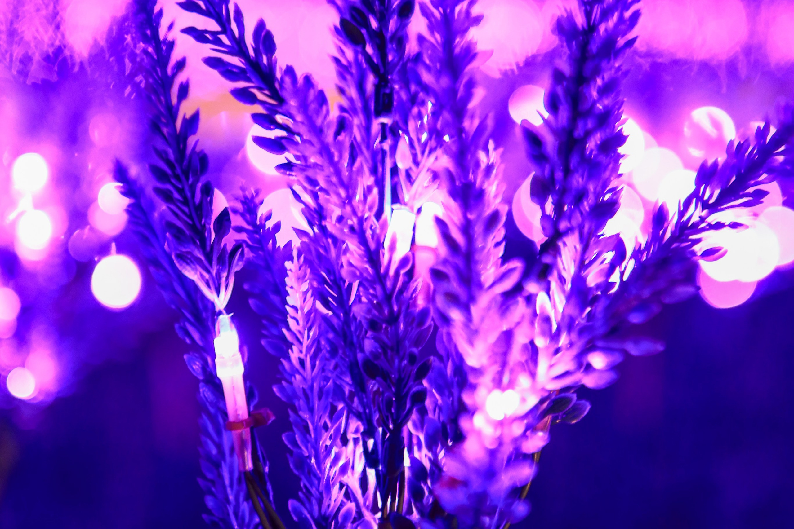 Пейзажное Фото. Https://lisenkofotograf.ru