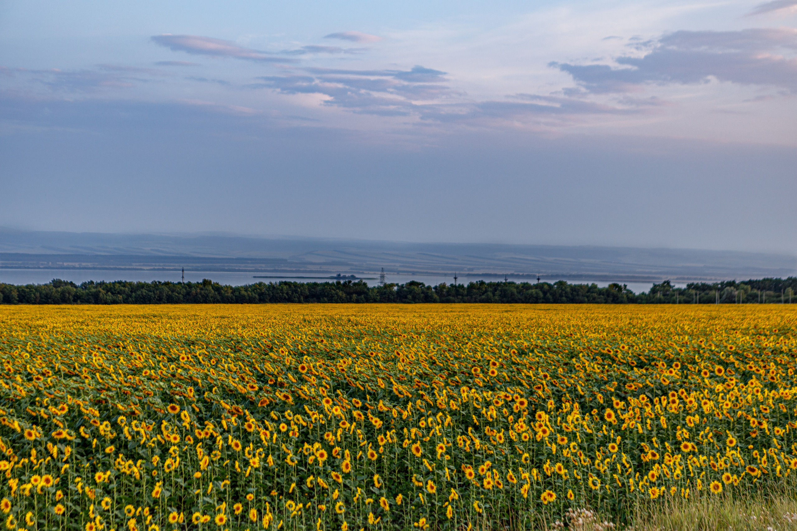 Пейзажное Фото. Https://lisenkofotograf.ru