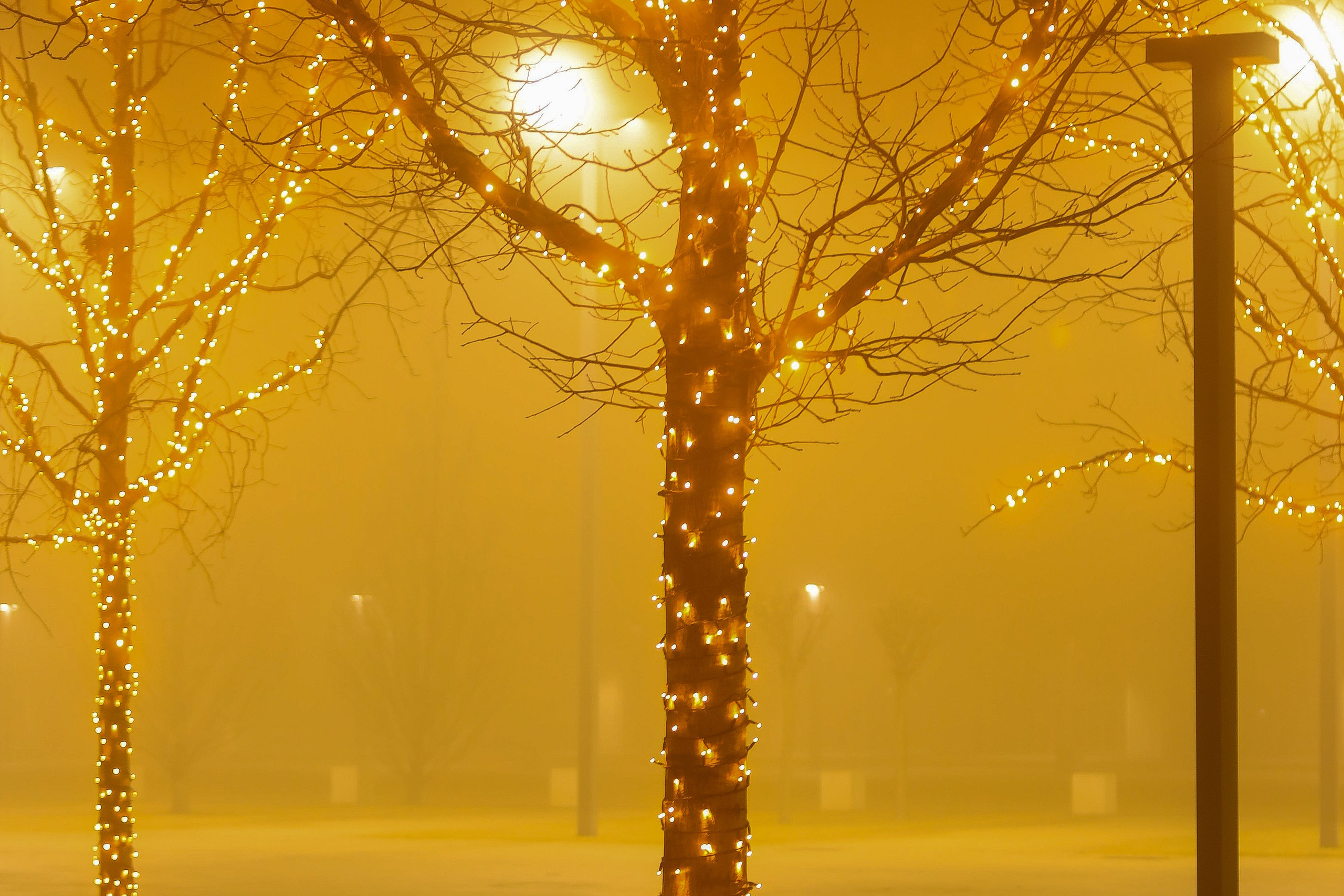 Пейзажное Фото. Https://lisenkofotograf.ru