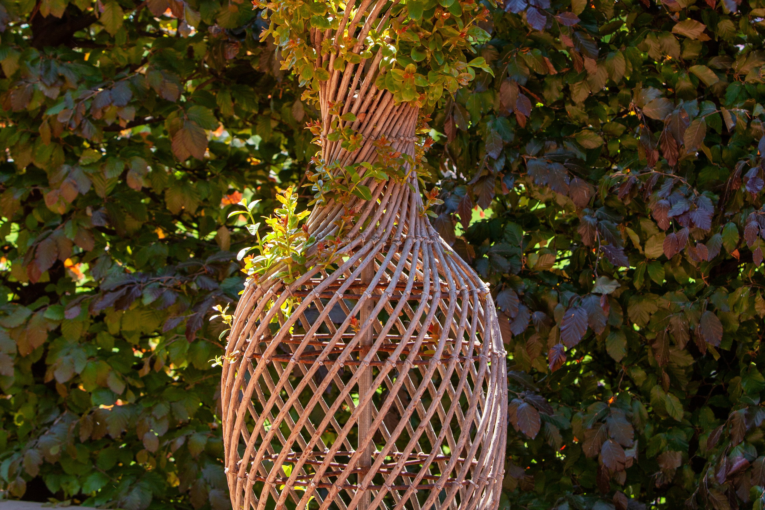 Пейзажное Фото. Https://lisenkofotograf.ru