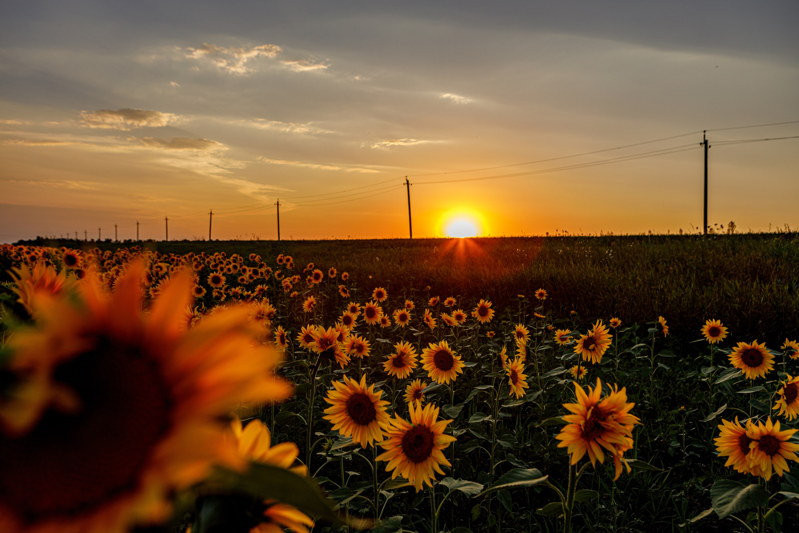 Пейзажное Фото. Https://lisenkofotograf.ru