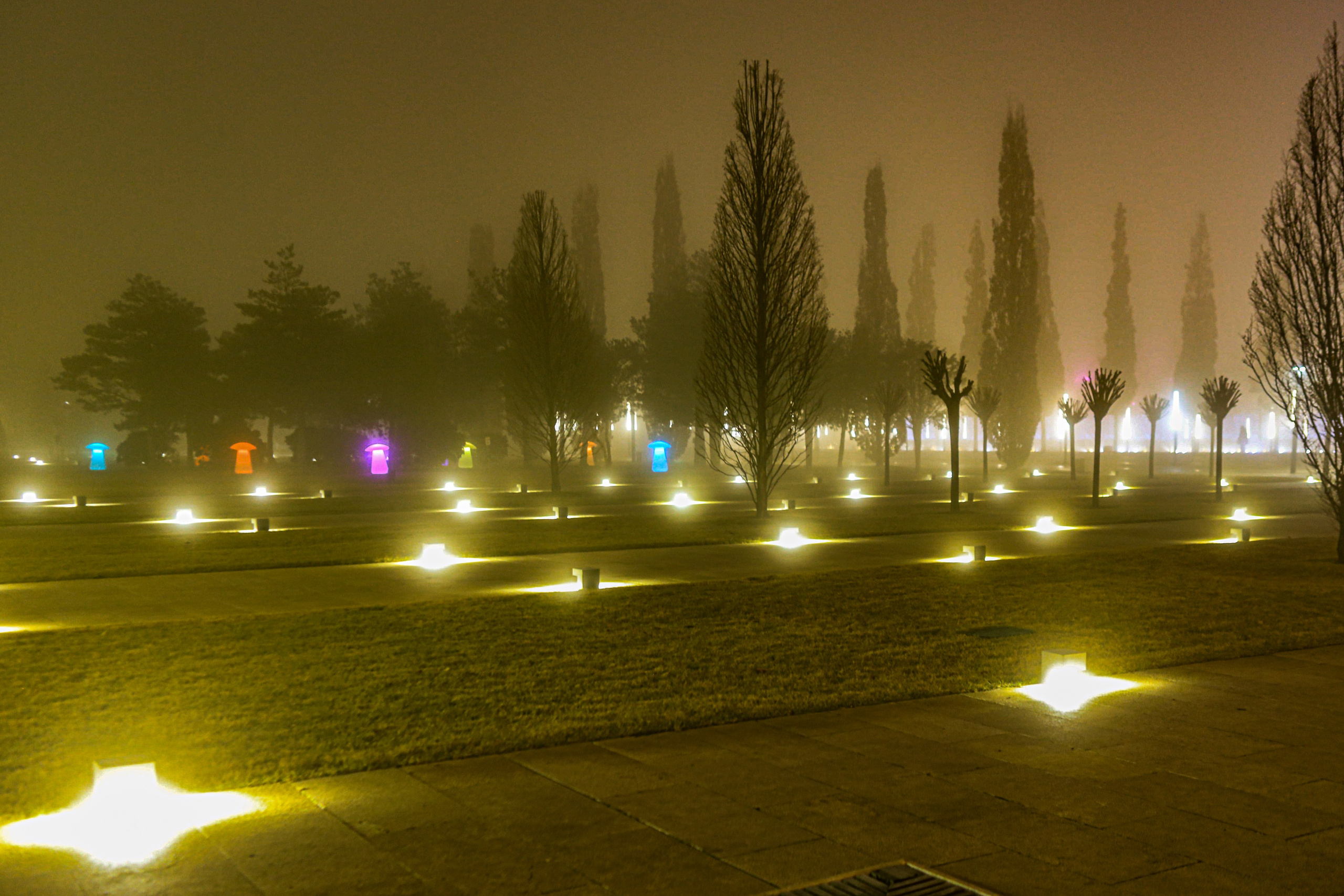 Пейзажное Фото. Https://lisenkofotograf.ru