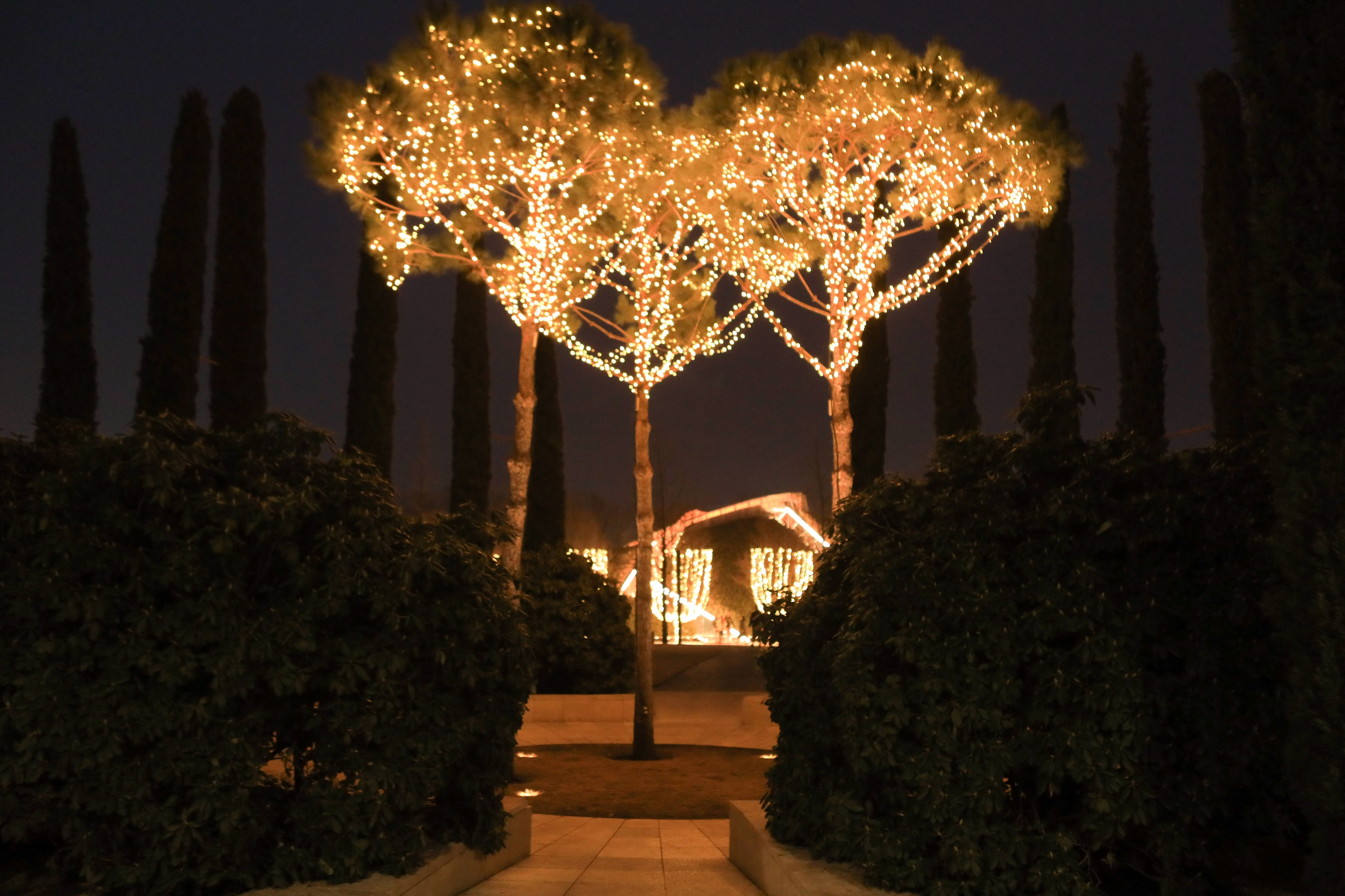 Пейзажное Фото. Https://lisenkofotograf.ru