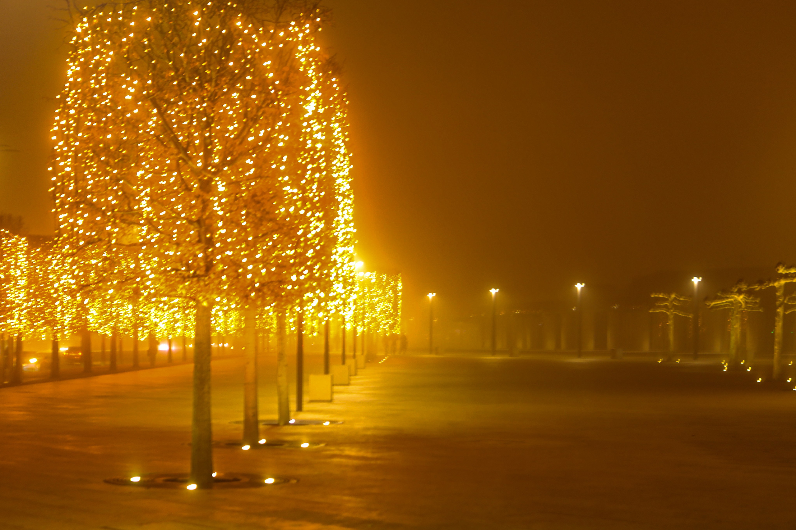 Пейзажное Фото. Https://lisenkofotograf.ru