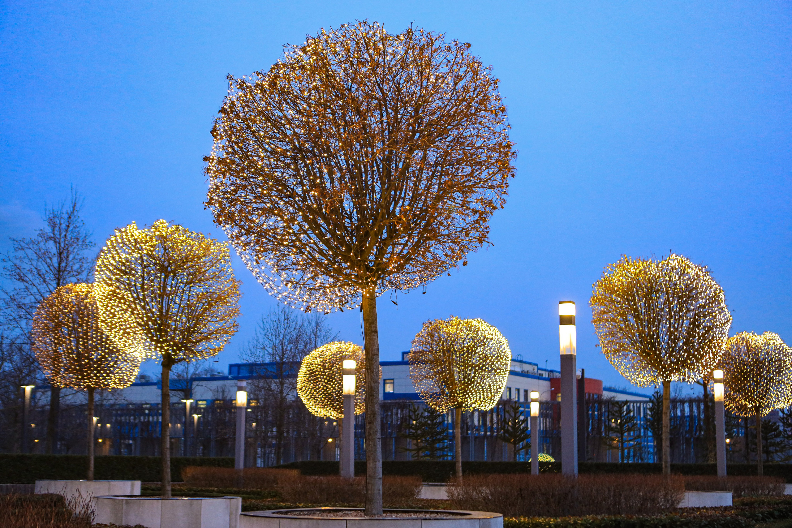 Пейзажное Фото. Https://lisenkofotograf.ru