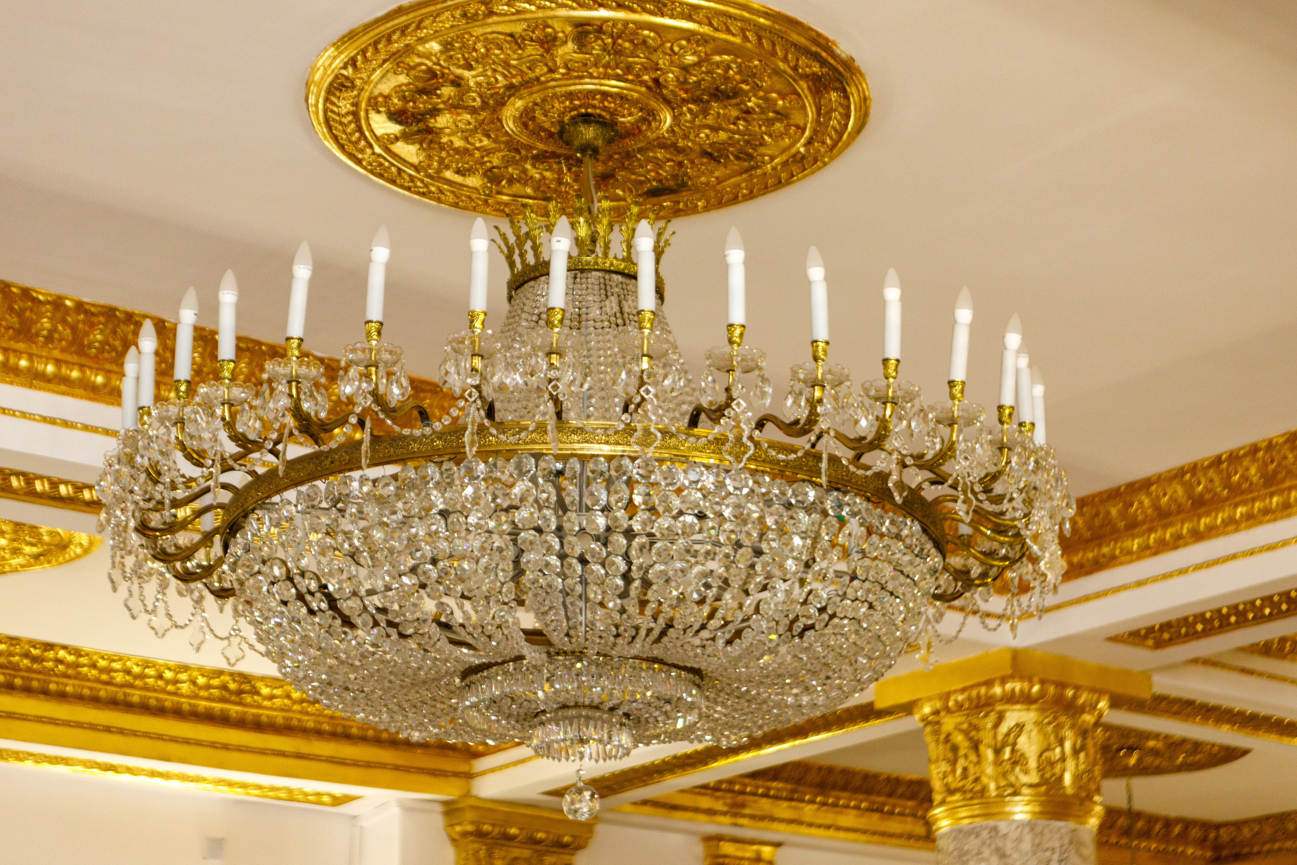 Репортажное Фото. Https://lisenkofotograf.ru