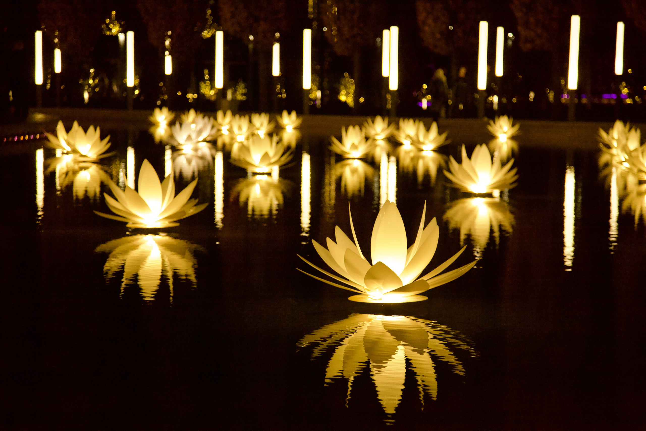 Пейзажное Фото. Https://lisenkofotograf.ru