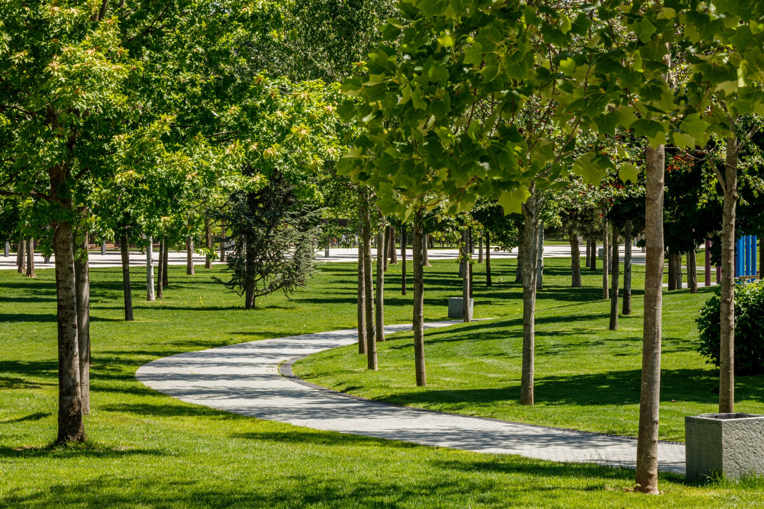 Пейзажное Фото. Https://lisenkofotograf.ru