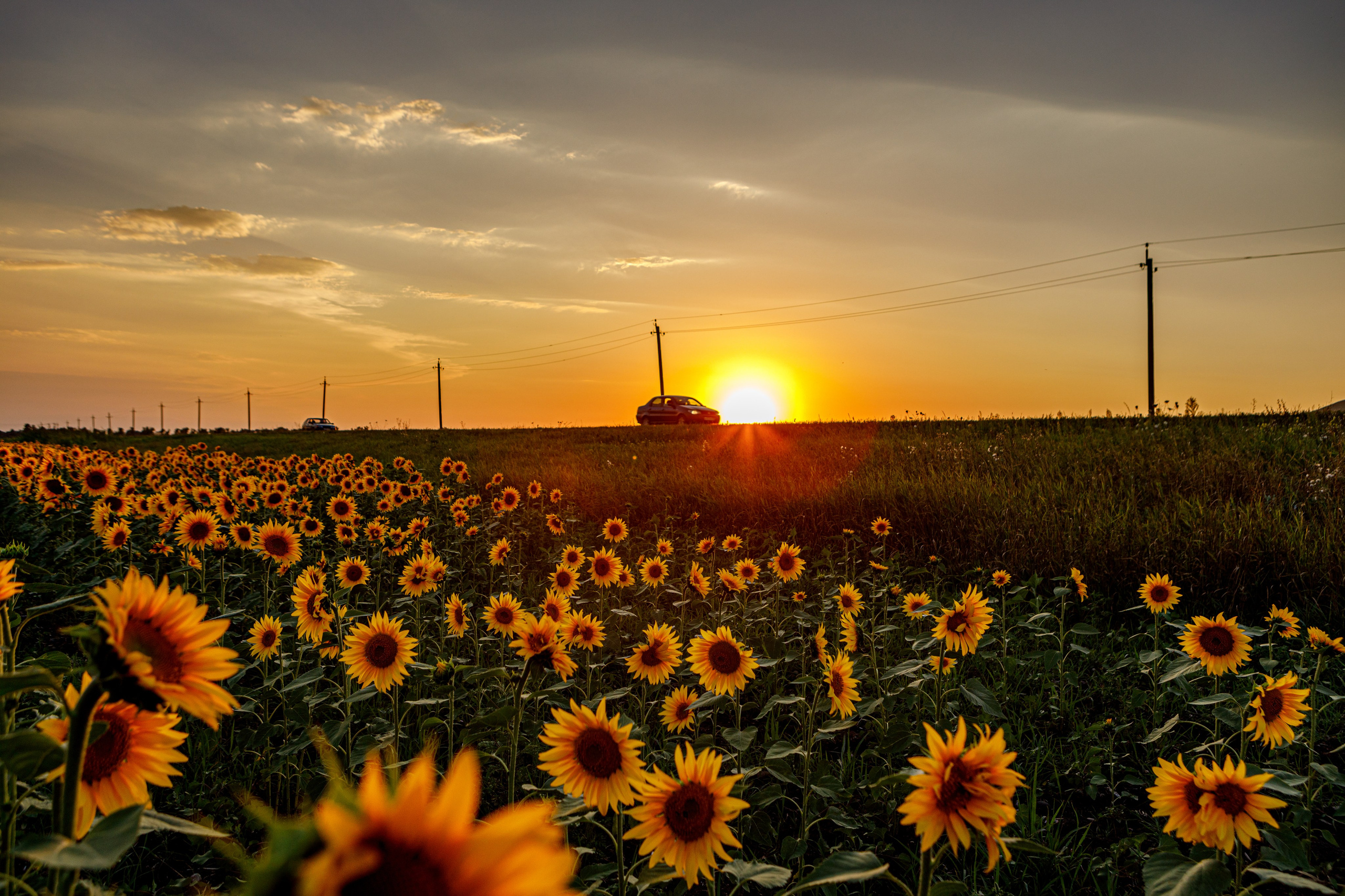 Пейзажное Фото. Https://lisenkofotograf.ru