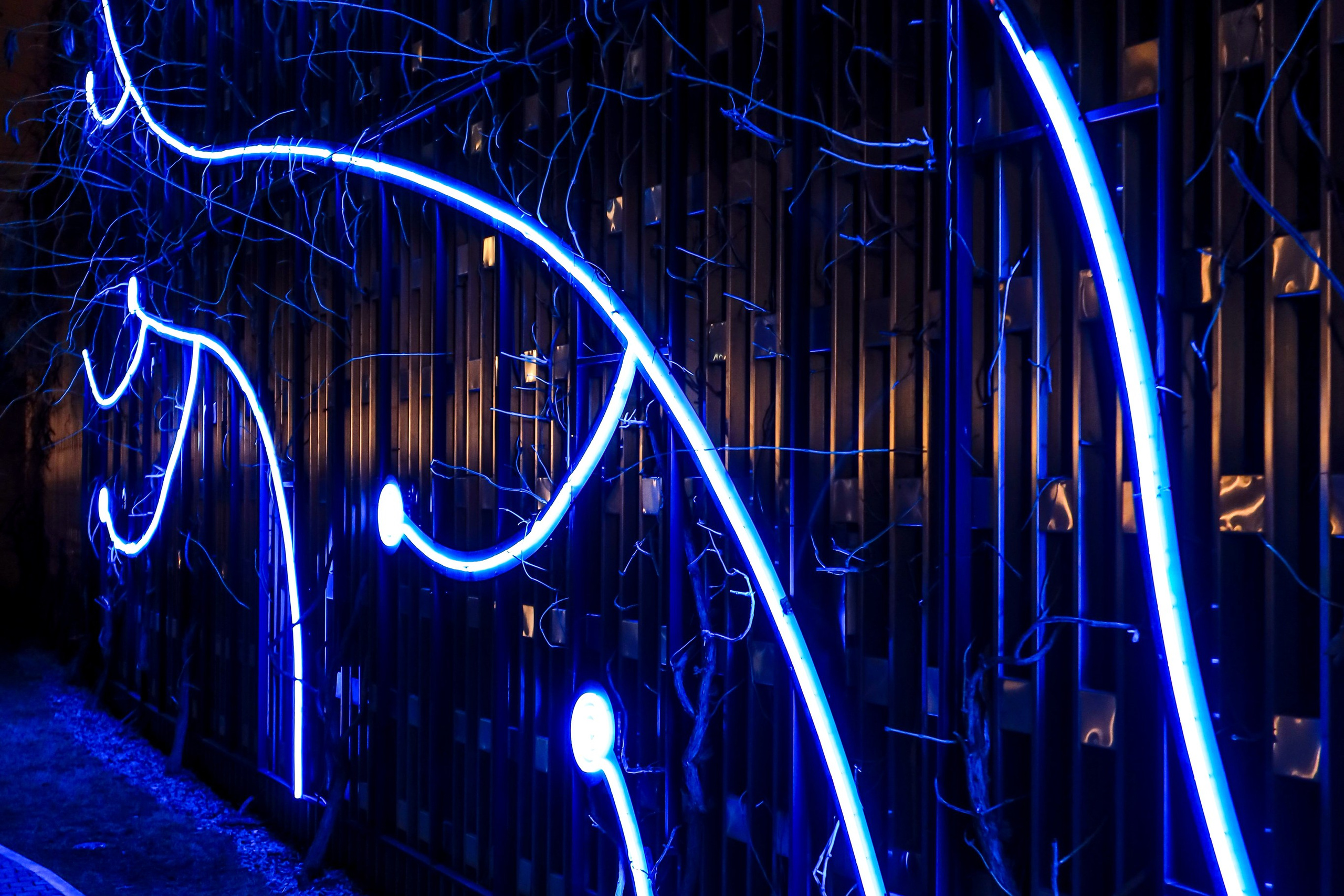 Пейзажное Фото. Https://lisenkofotograf.ru