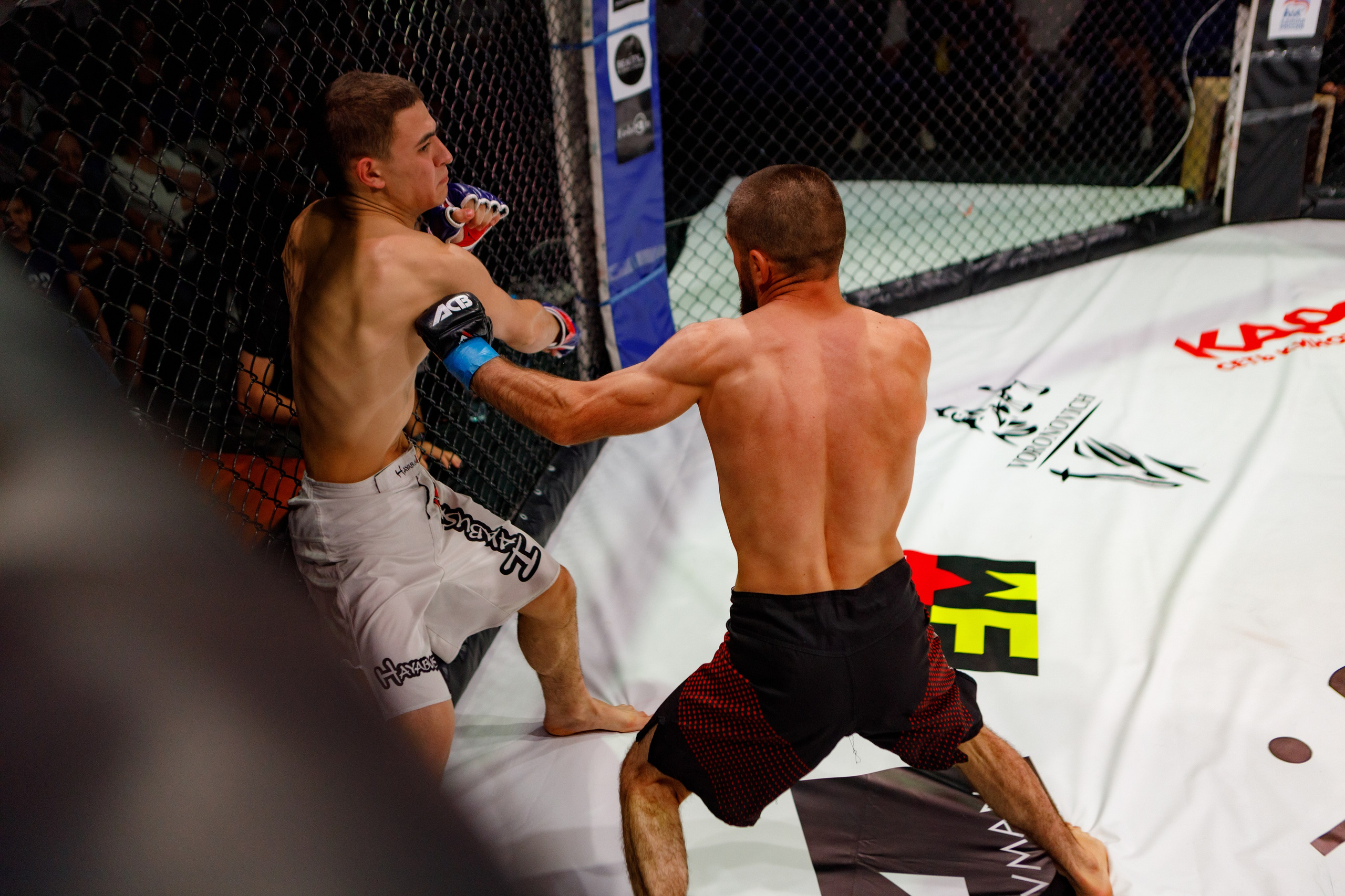 Репортажное Фото. Https://lisenkofotograf.ru