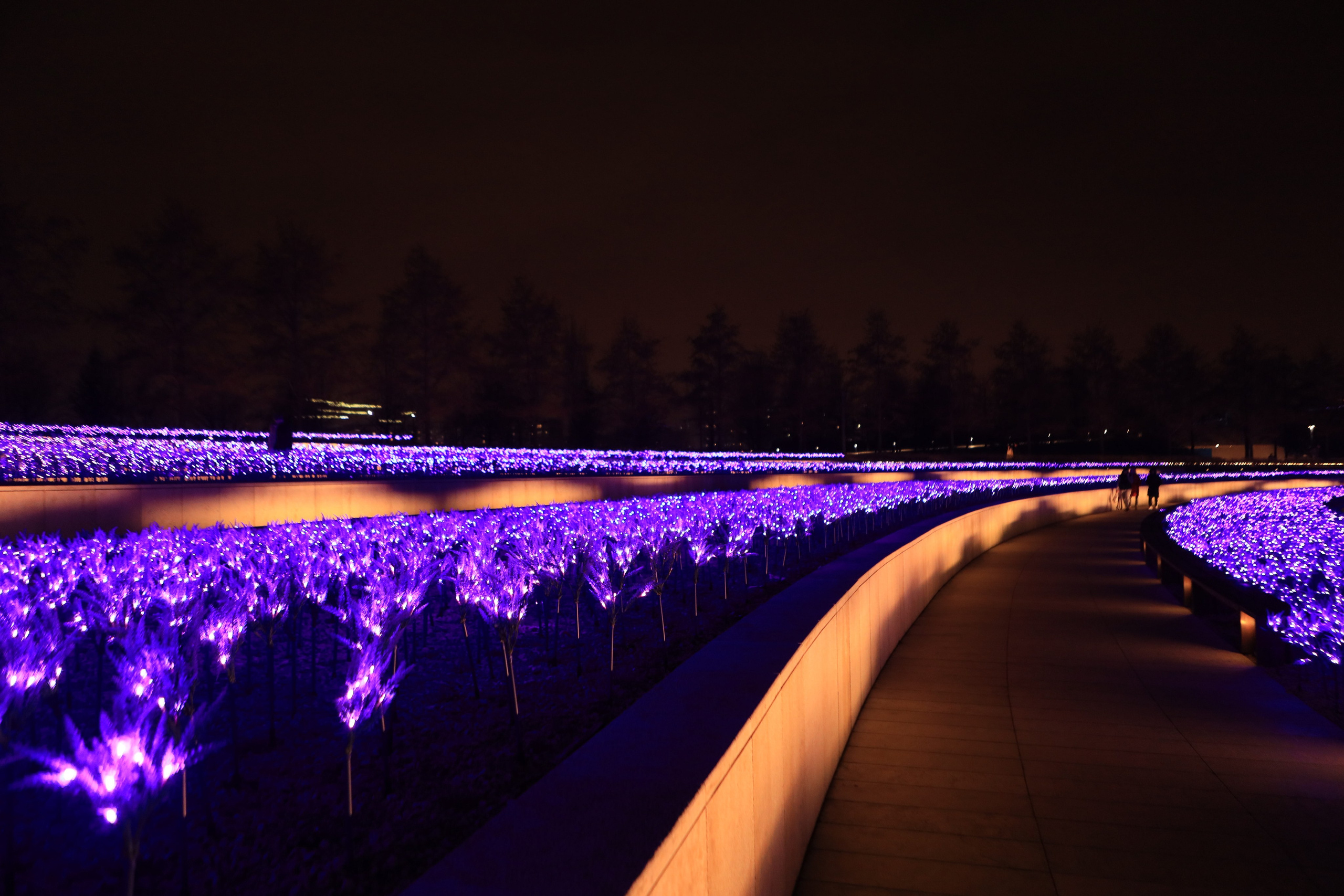 Пейзажное Фото. Https://lisenkofotograf.ru