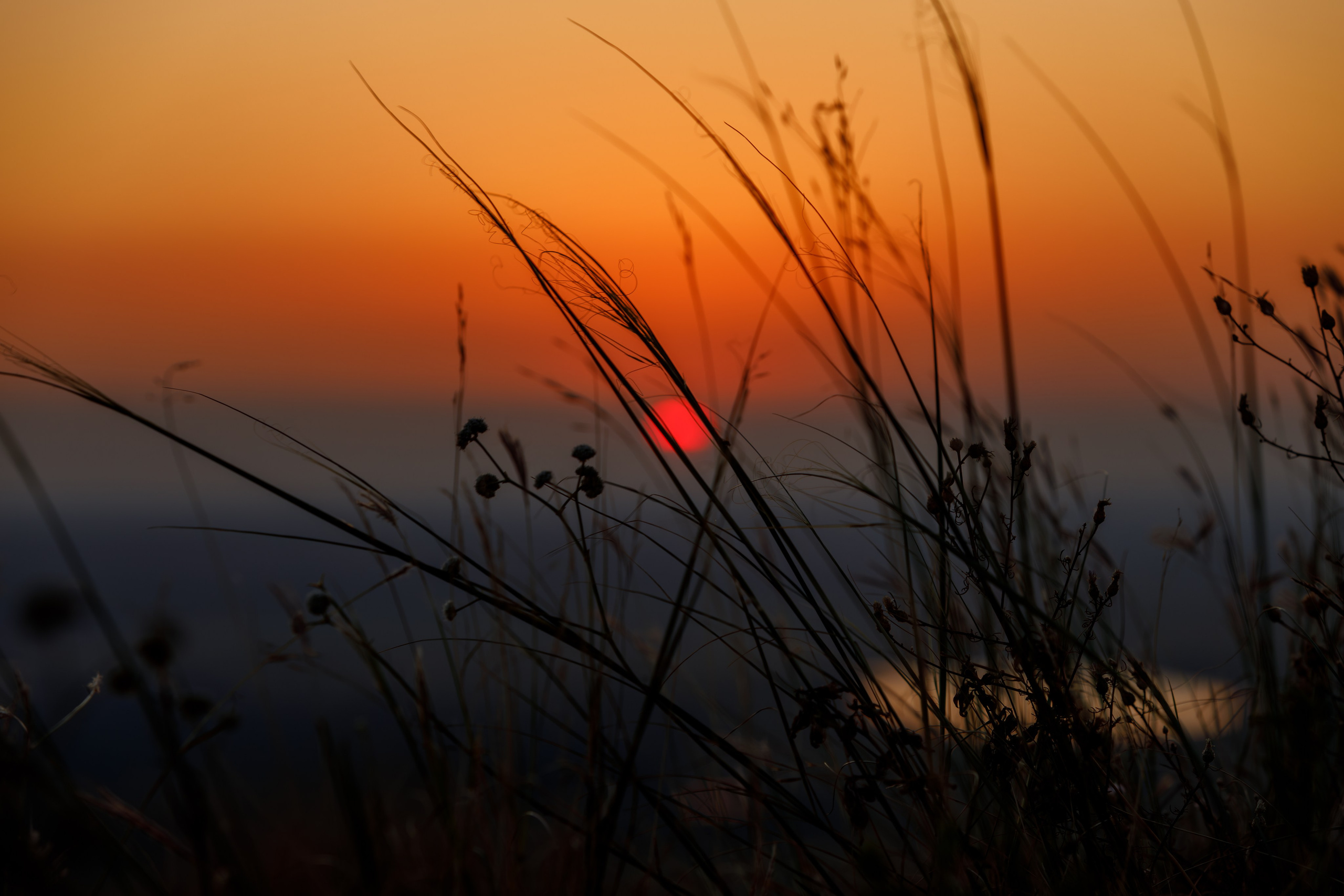 Пейзажное Фото. Https://lisenkofotograf.ru