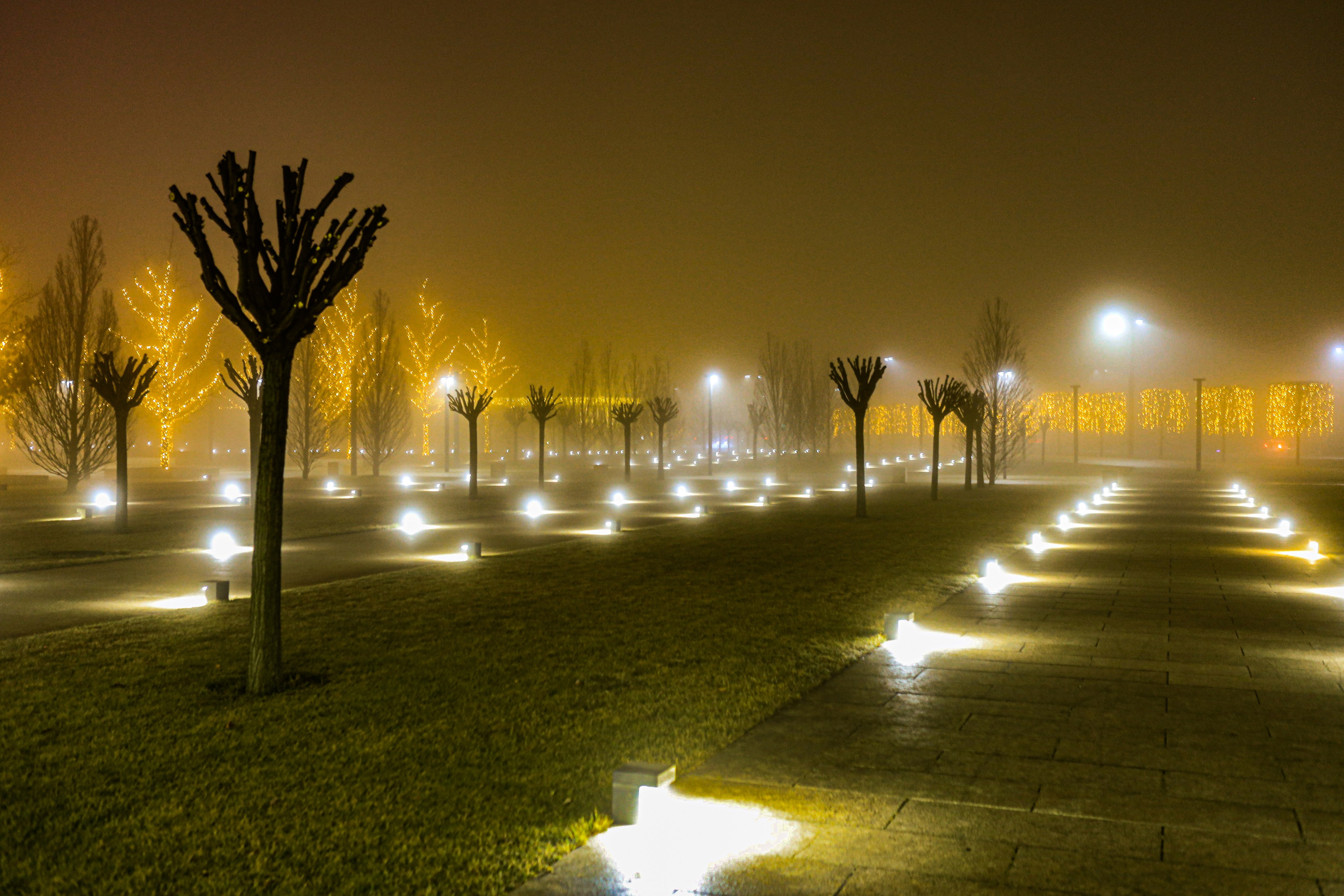 Пейзажное Фото. Https://lisenkofotograf.ru