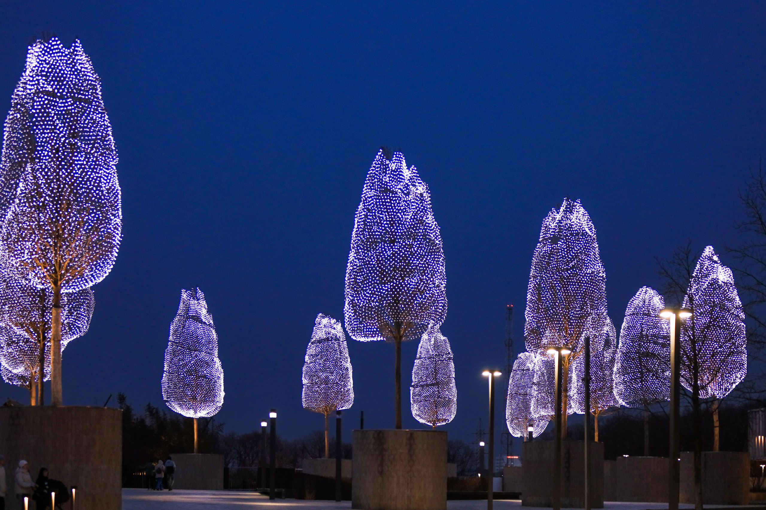 Пейзажное Фото. Https://lisenkofotograf.ru