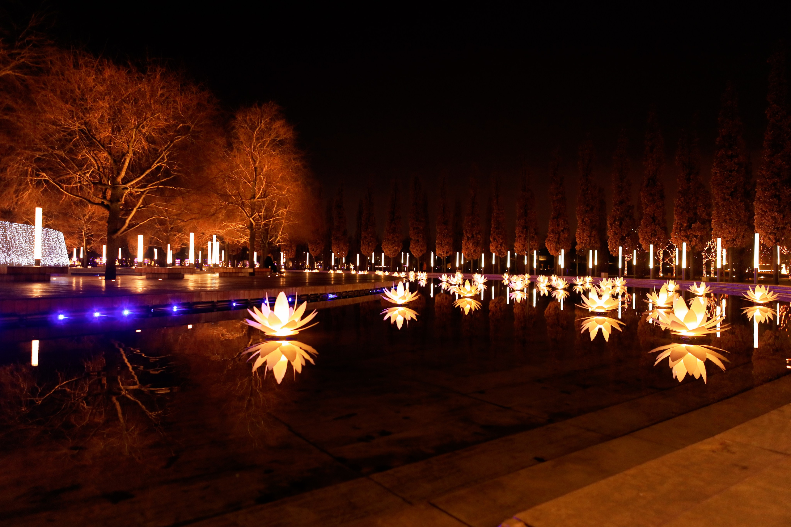 Пейзажное Фото. Https://lisenkofotograf.ru