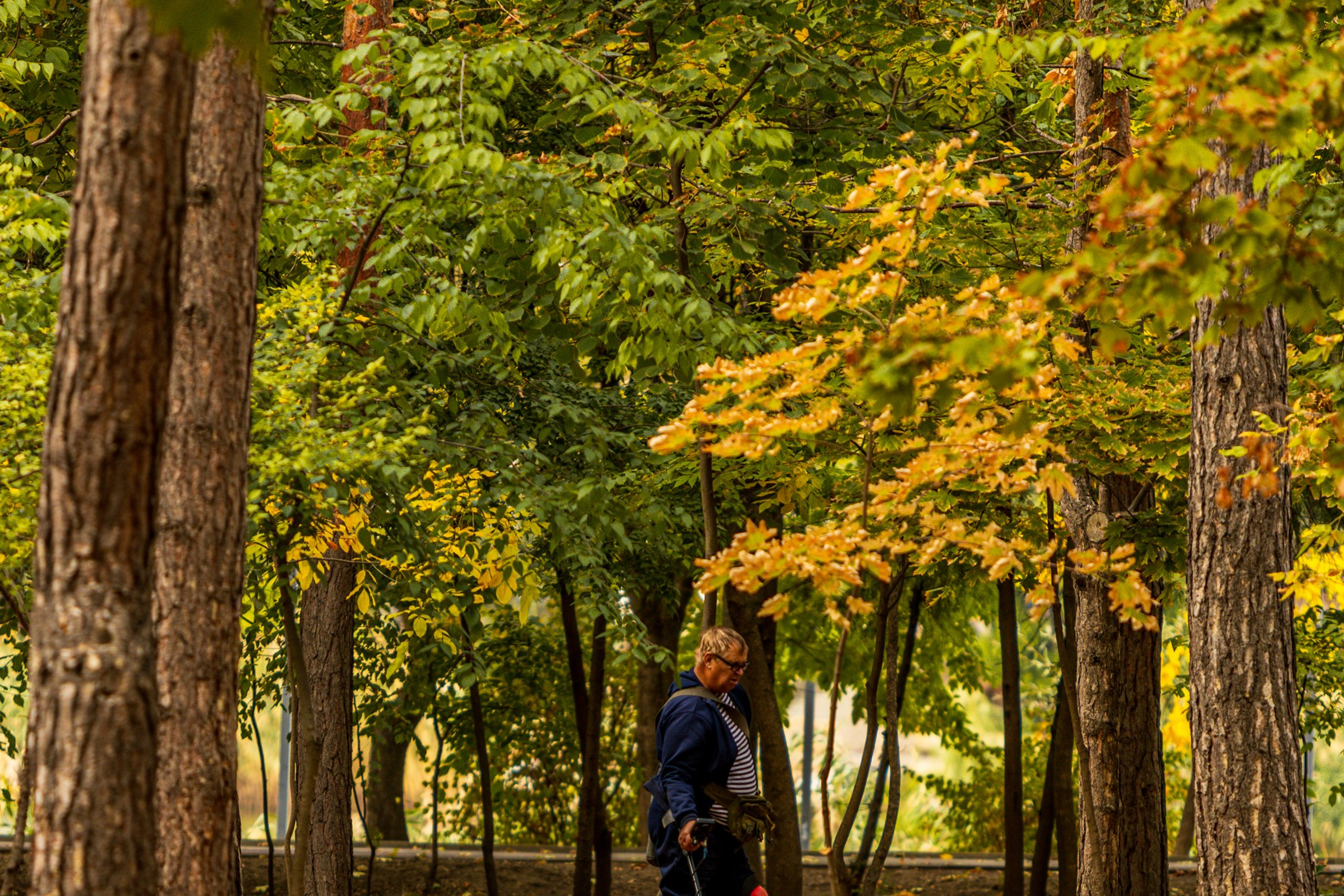 Пейзажное Фото. Https://lisenkofotograf.ru