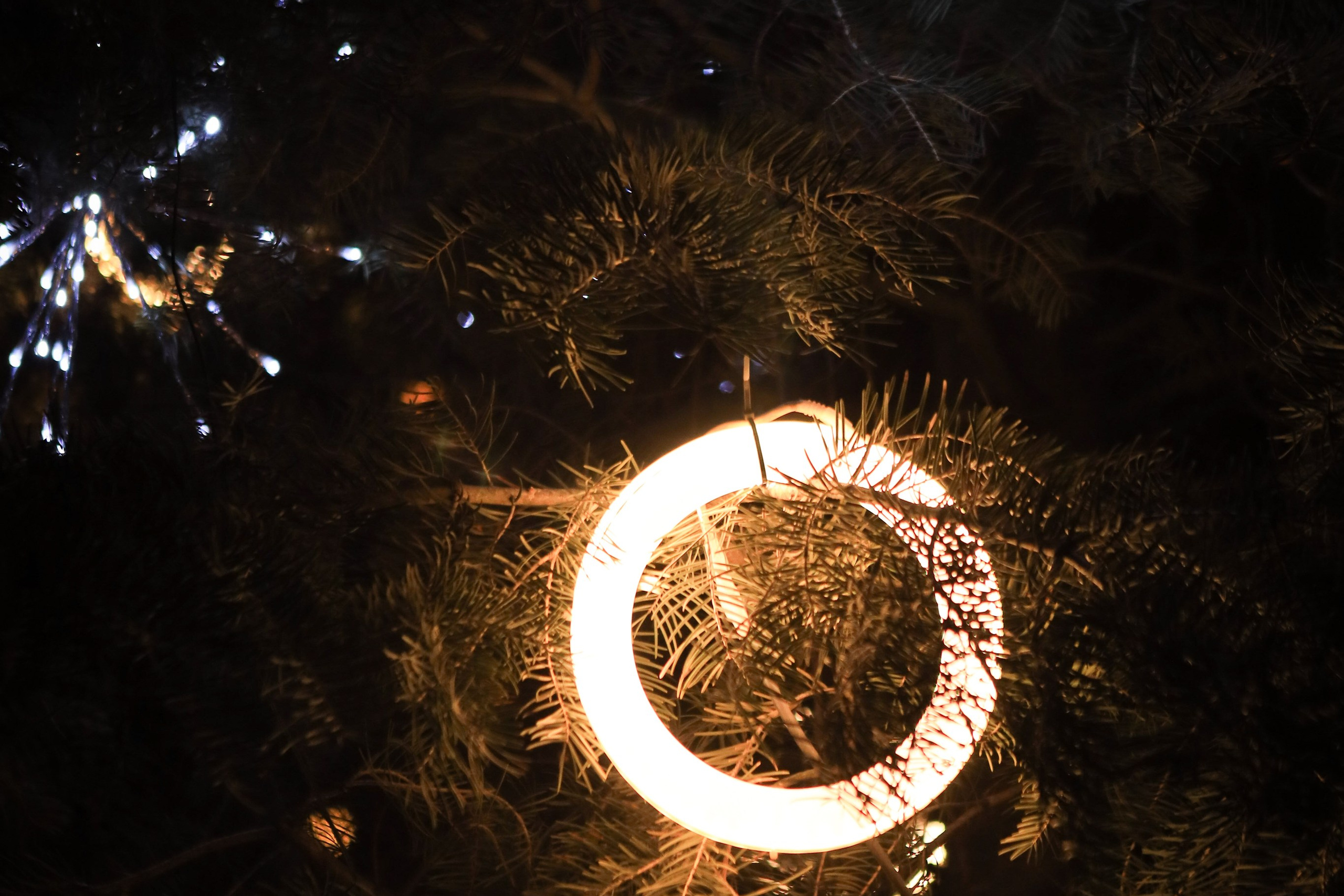 Пейзажное Фото. Https://lisenkofotograf.ru