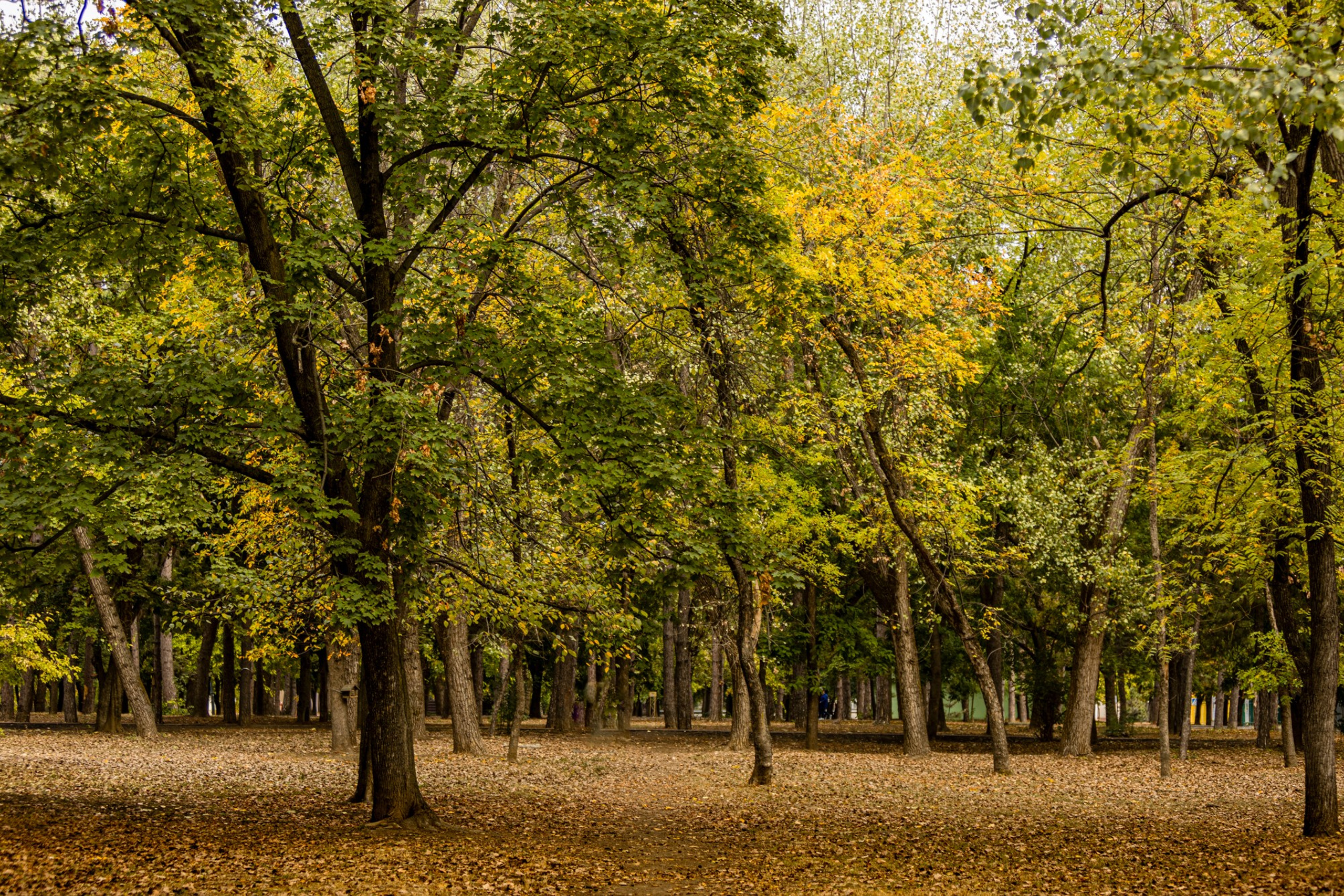 Пейзажное Фото. Https://lisenkofotograf.ru