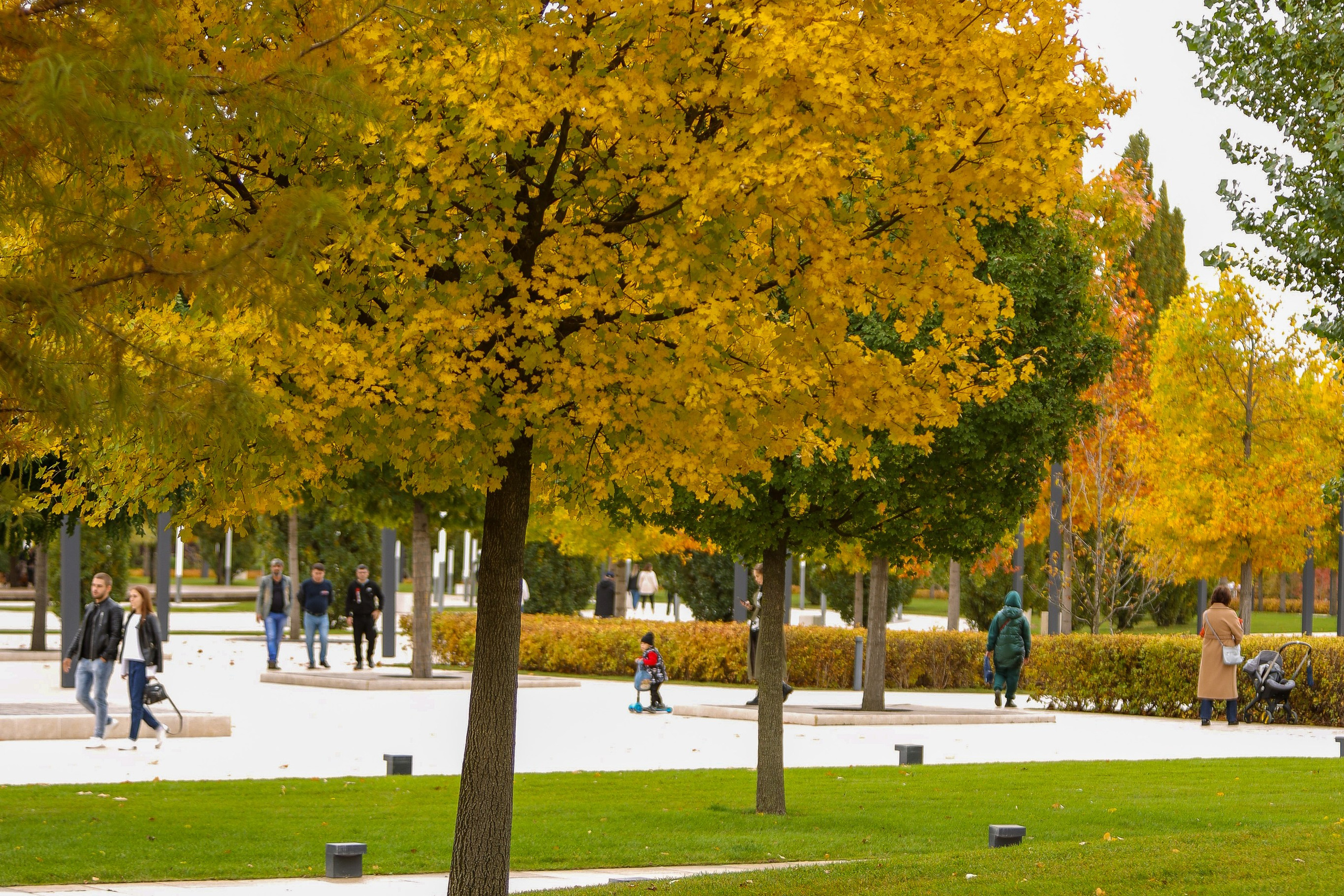 Пейзажное Фото. Https://lisenkofotograf.ru