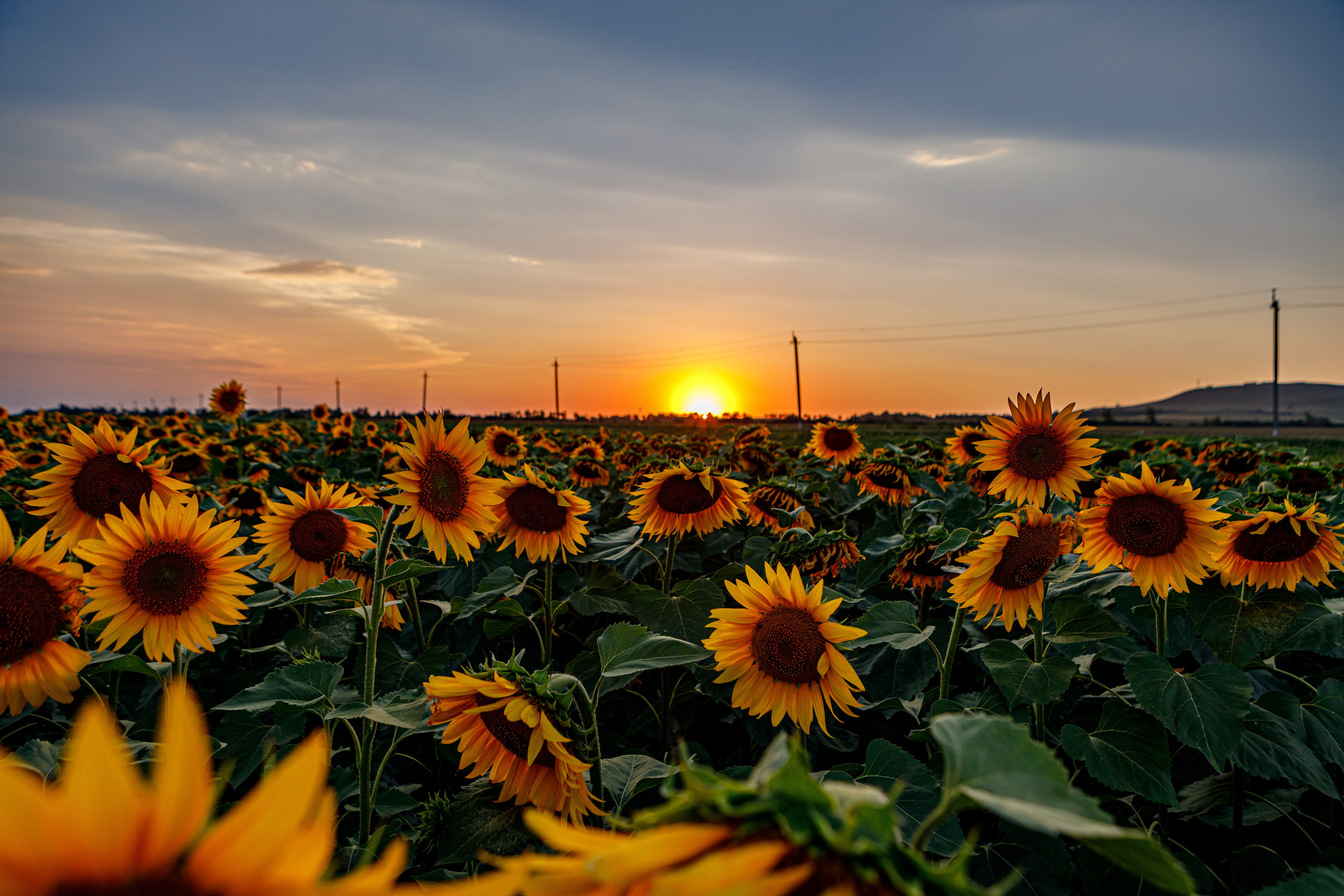 Пейзажное Фото. Https://lisenkofotograf.ru