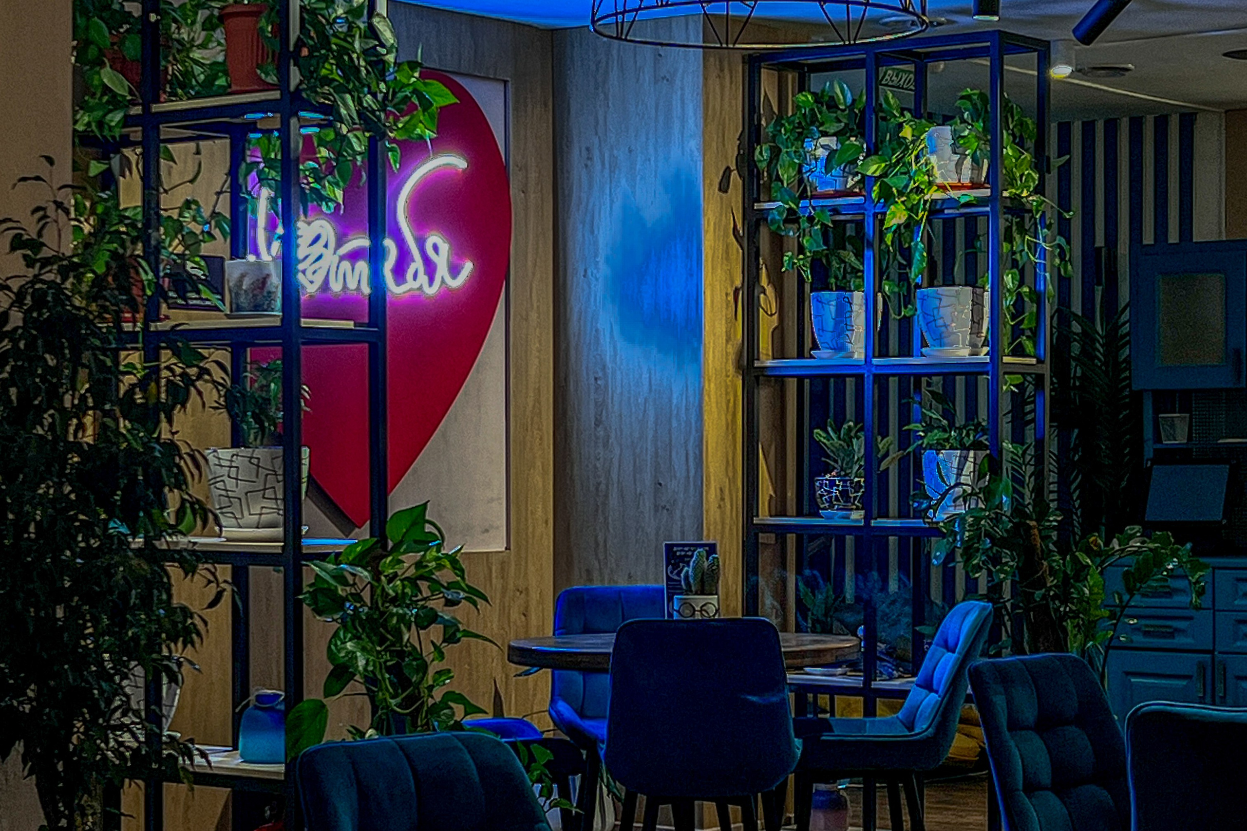 Репортажное Фото. Https://lisenkofotograf.ru