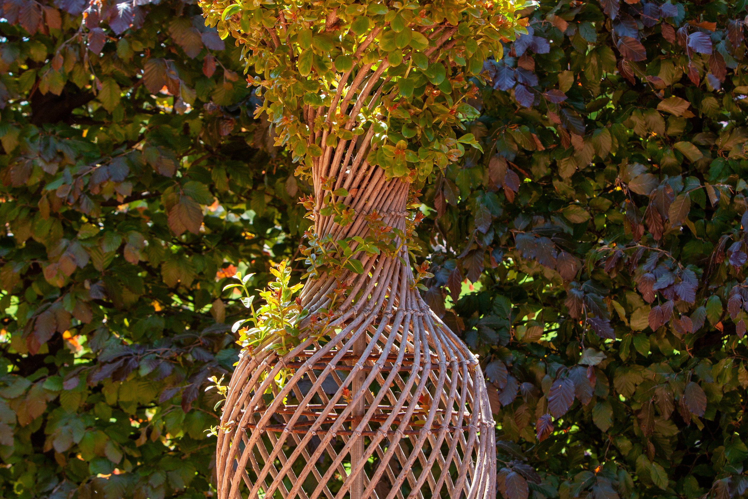 Пейзажное Фото. Https://lisenkofotograf.ru