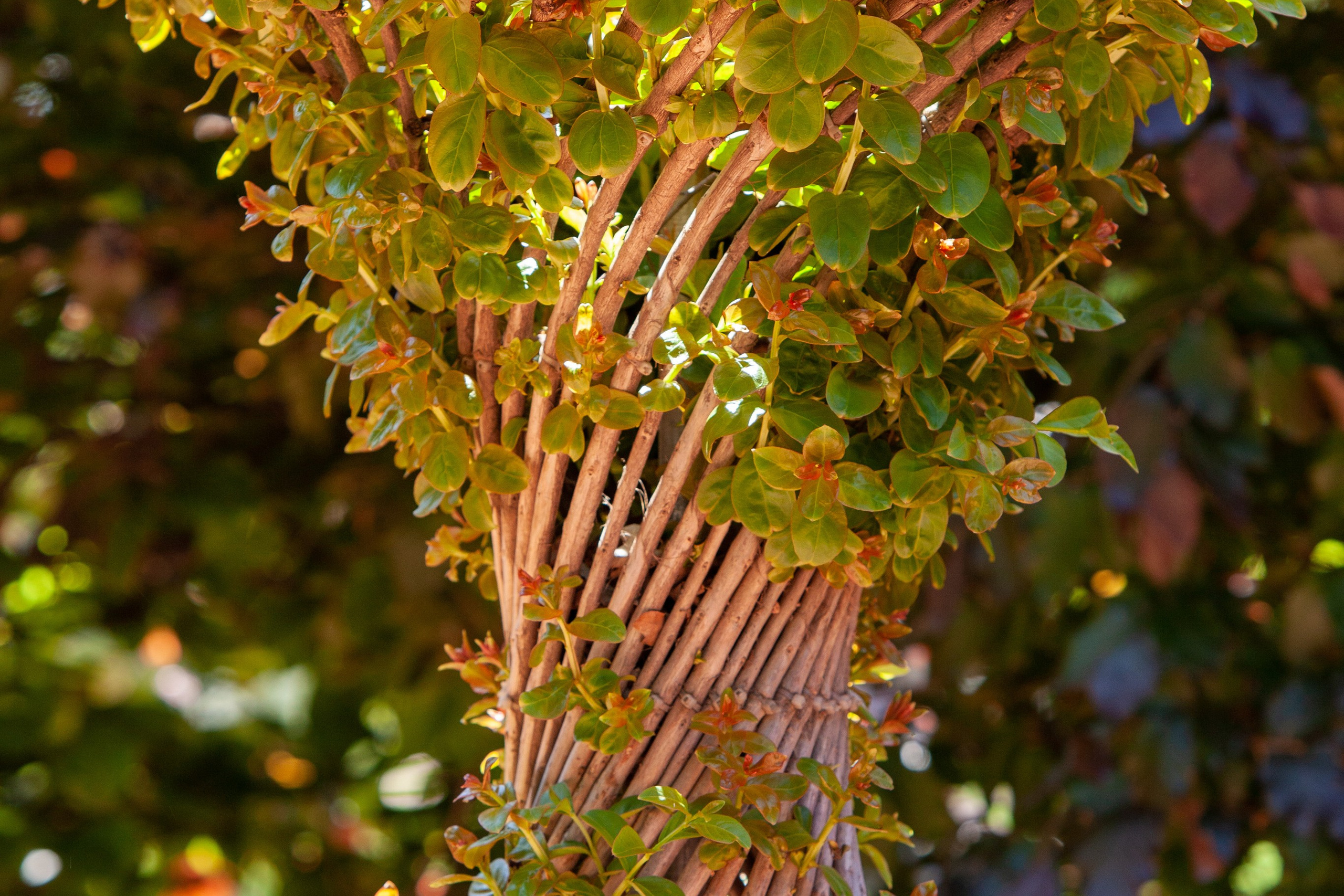 Пейзажное Фото. Https://lisenkofotograf.ru