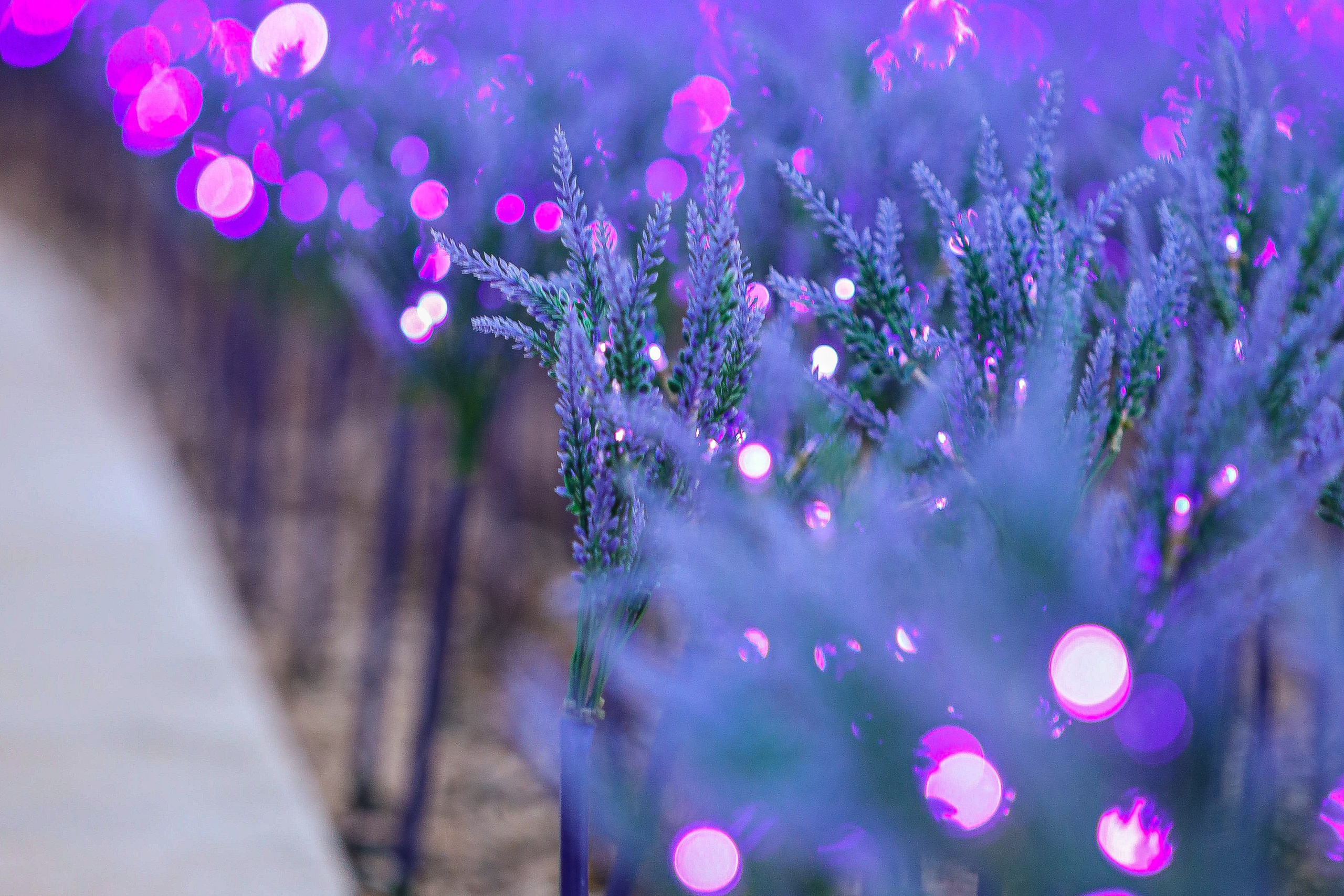 Пейзажное Фото. Https://lisenkofotograf.ru