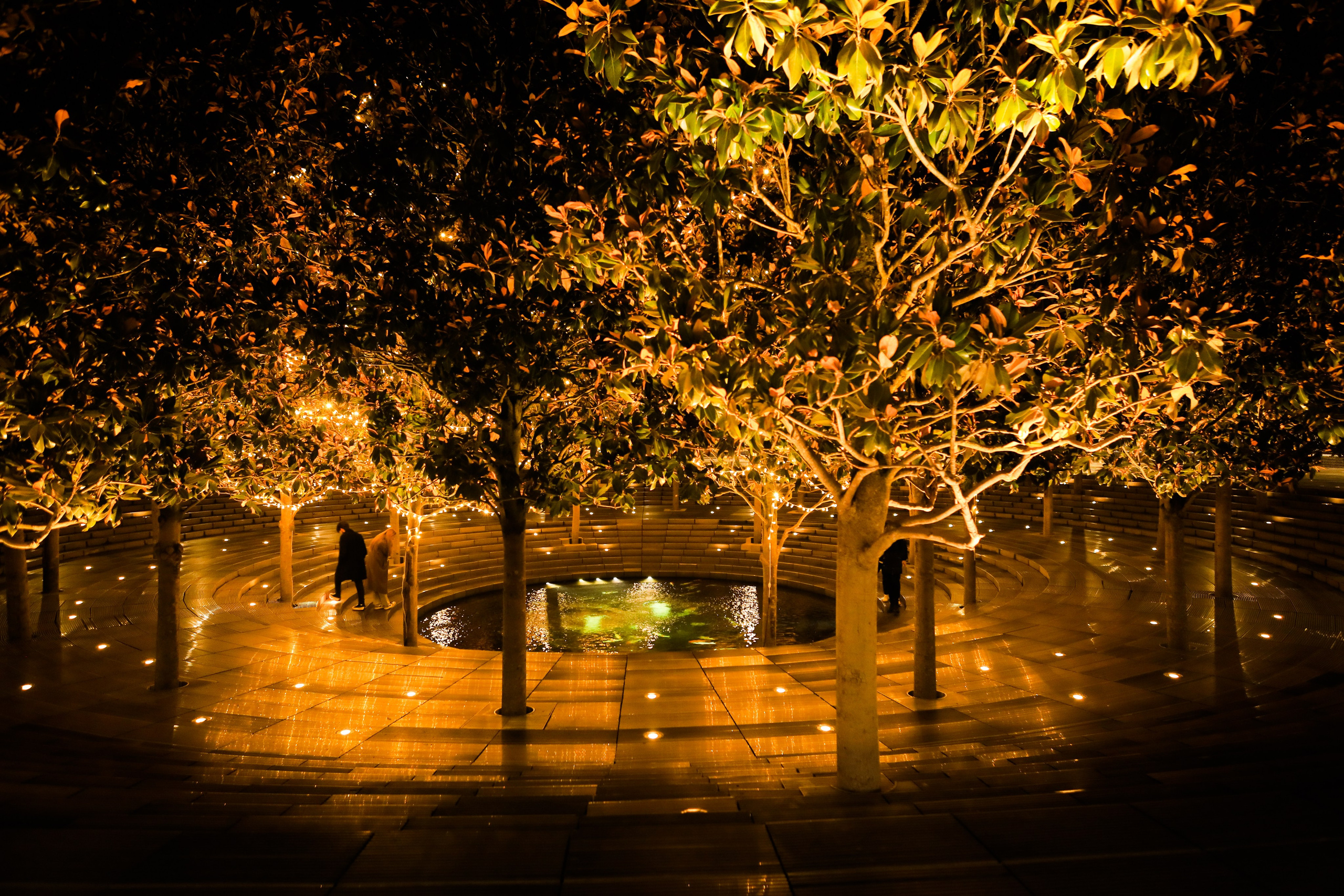 Пейзажное Фото. Https://lisenkofotograf.ru