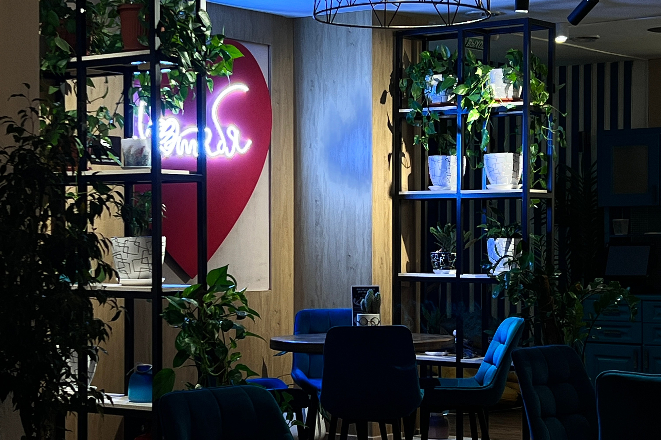 Репортажное Фото. Https://lisenkofotograf.ru