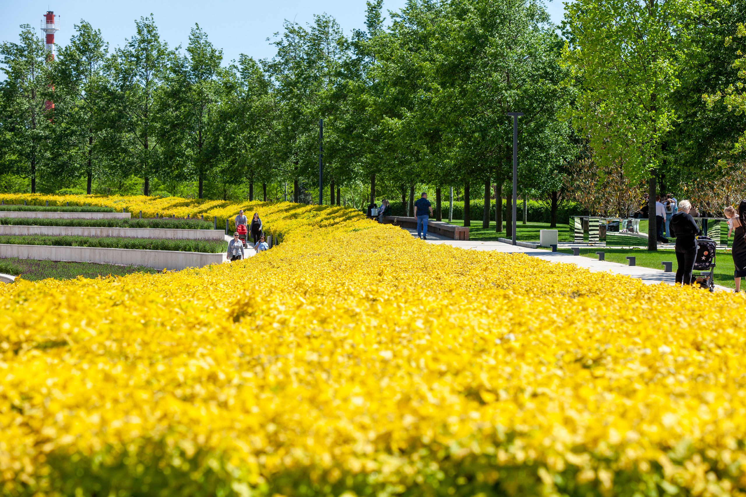 Пейзажное Фото. Https://lisenkofotograf.ru