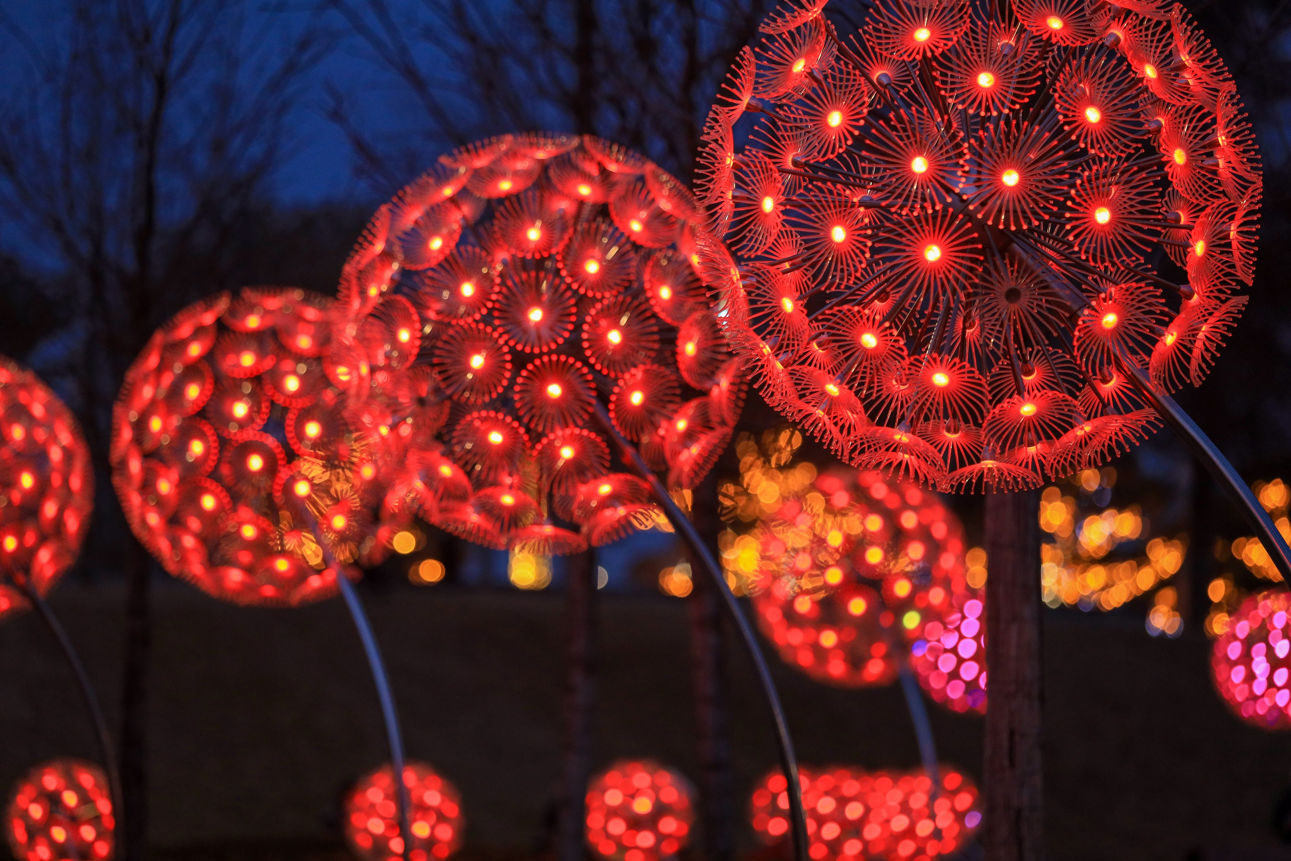 Пейзажное Фото. Https://lisenkofotograf.ru