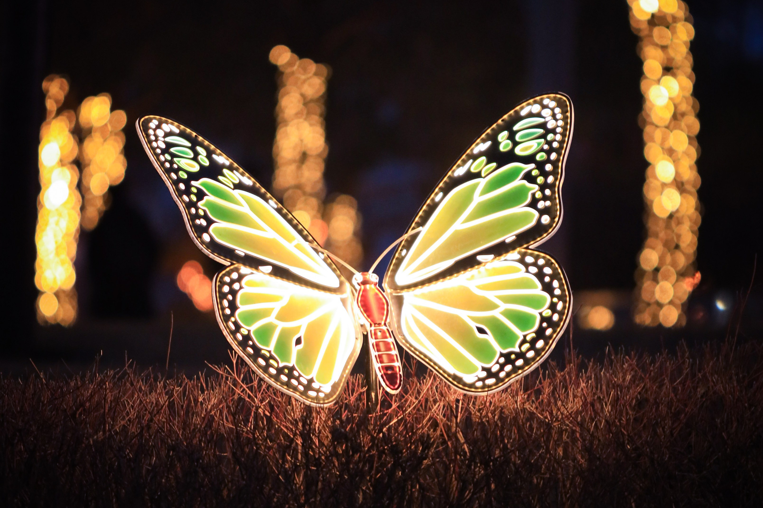 Пейзажное Фото. Https://lisenkofotograf.ru