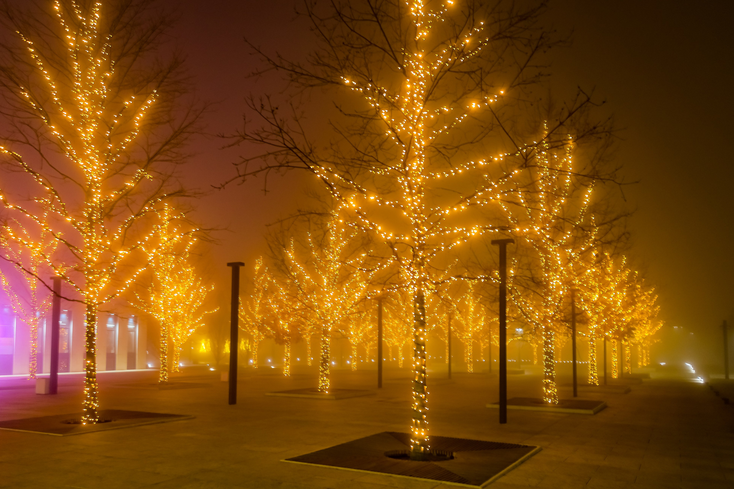 Пейзажное Фото. Https://lisenkofotograf.ru