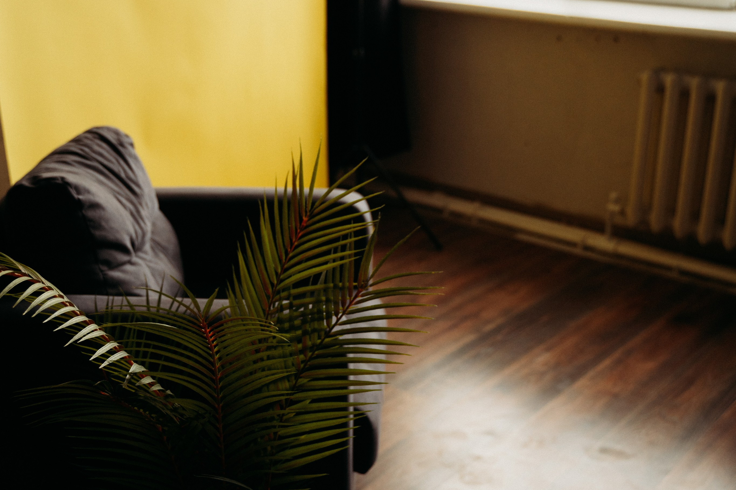 Студийные Локации