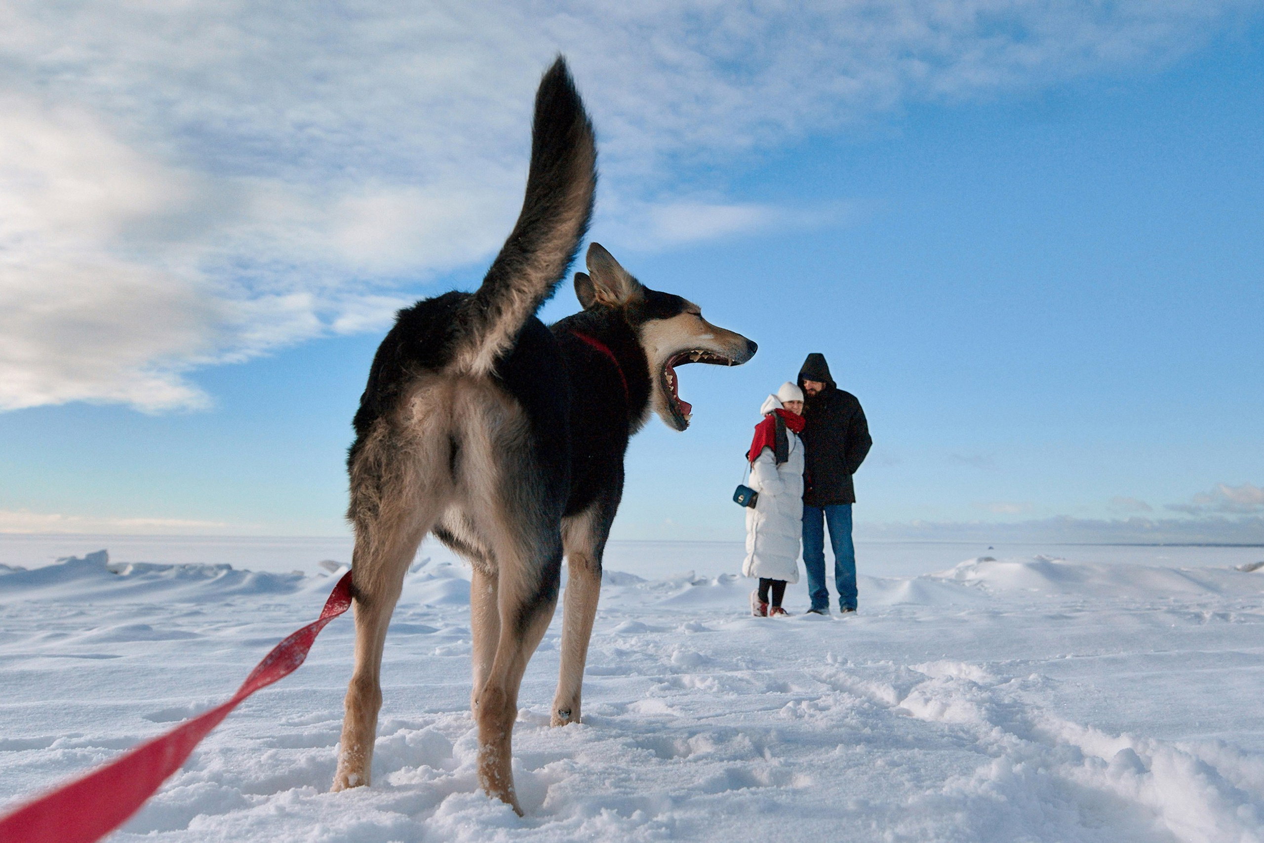 Домашняя фотосессия в Санкт-Петербурге. Семейный Lifestyle фотограф в Санкт-Петербурге Марина Бокшицкая