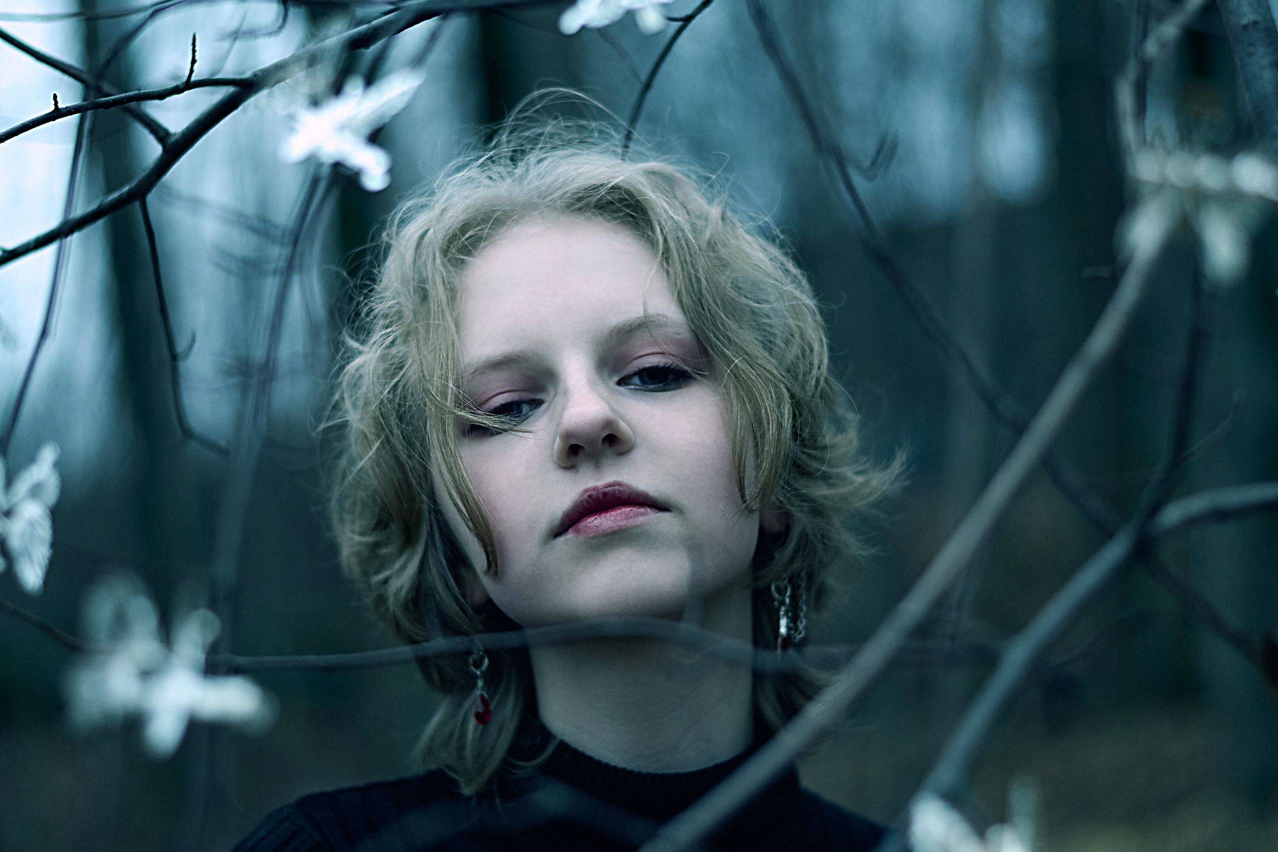 Лиза. Сумерки в лесу