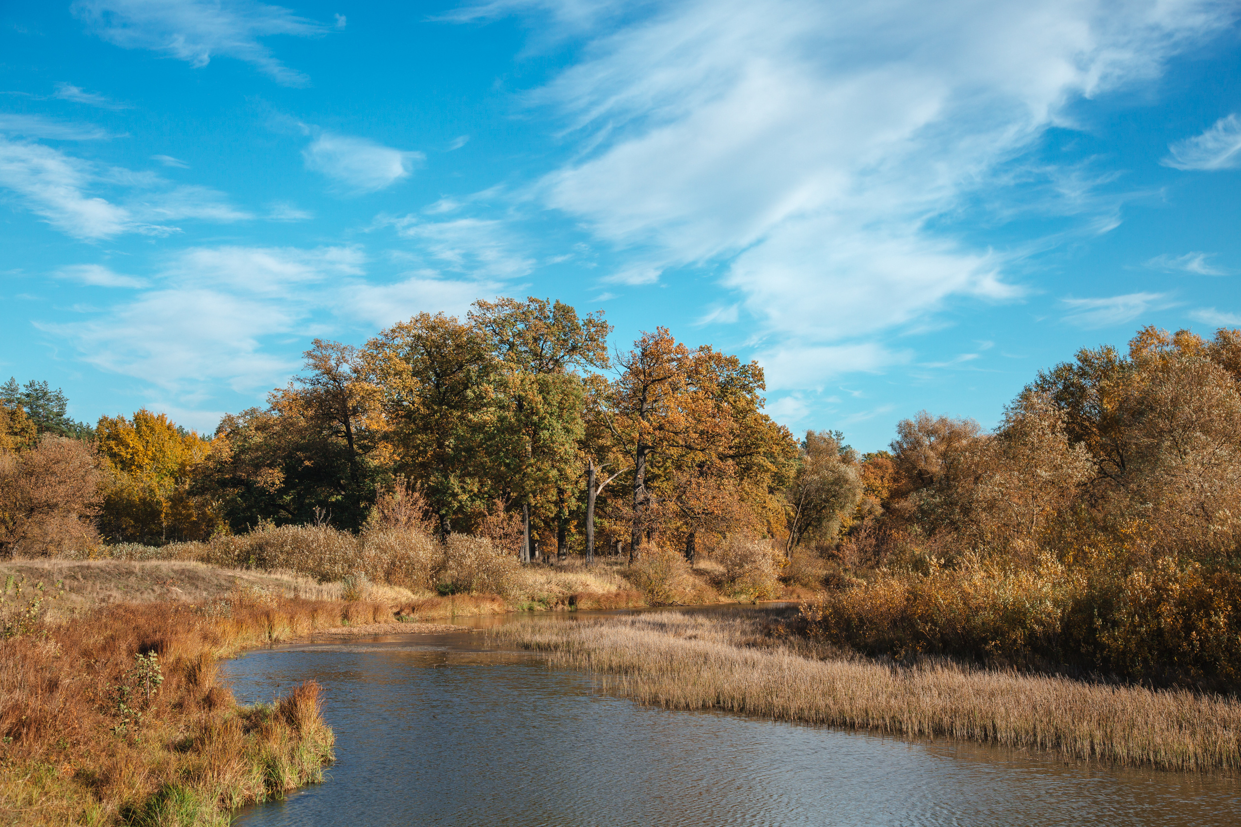 Обзор объективов. Фотоцентр Перспектива: выпускные альбомы, фотошкола, курсы фотографии