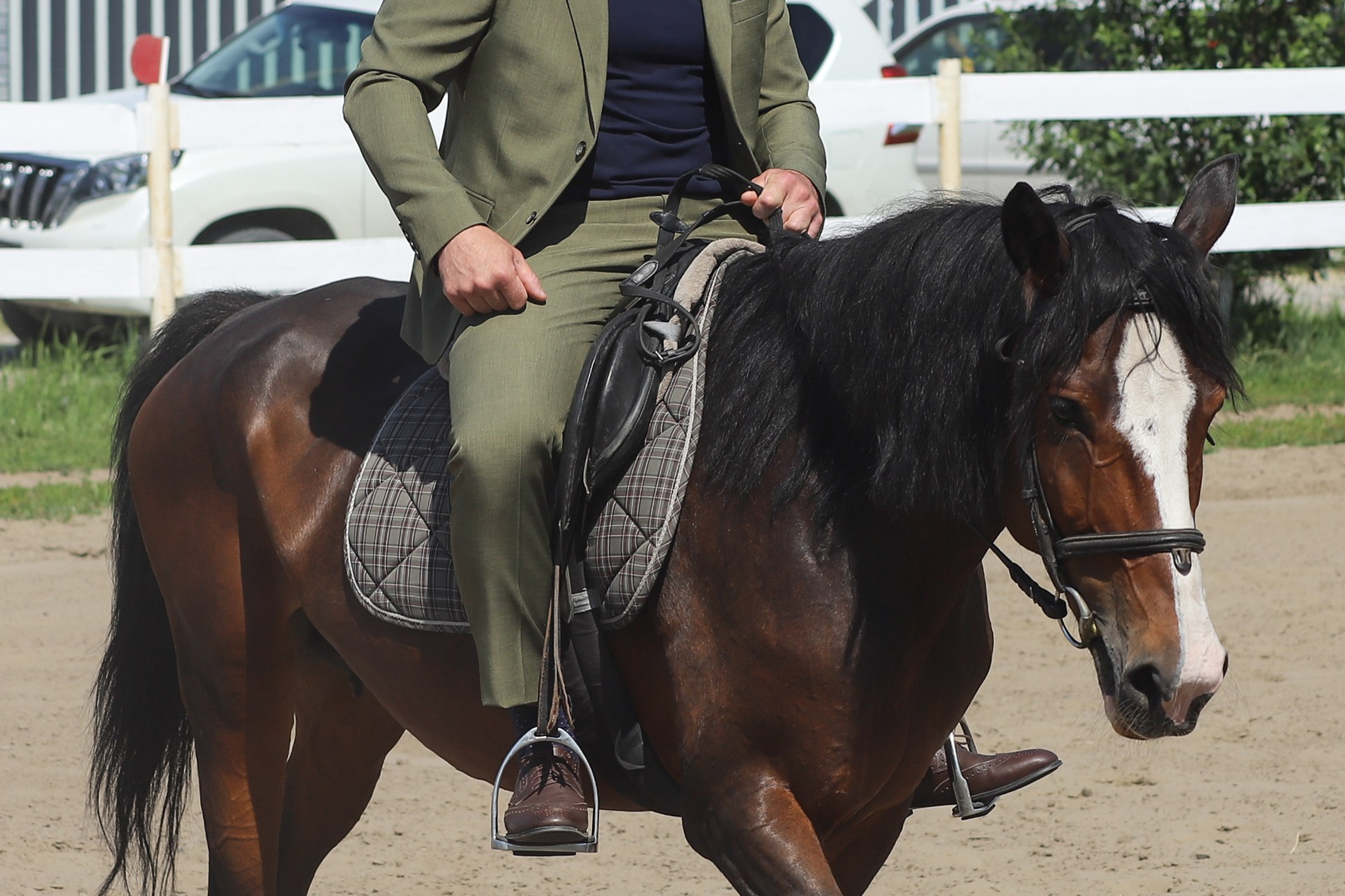 «Гонка фаворитов». Главная